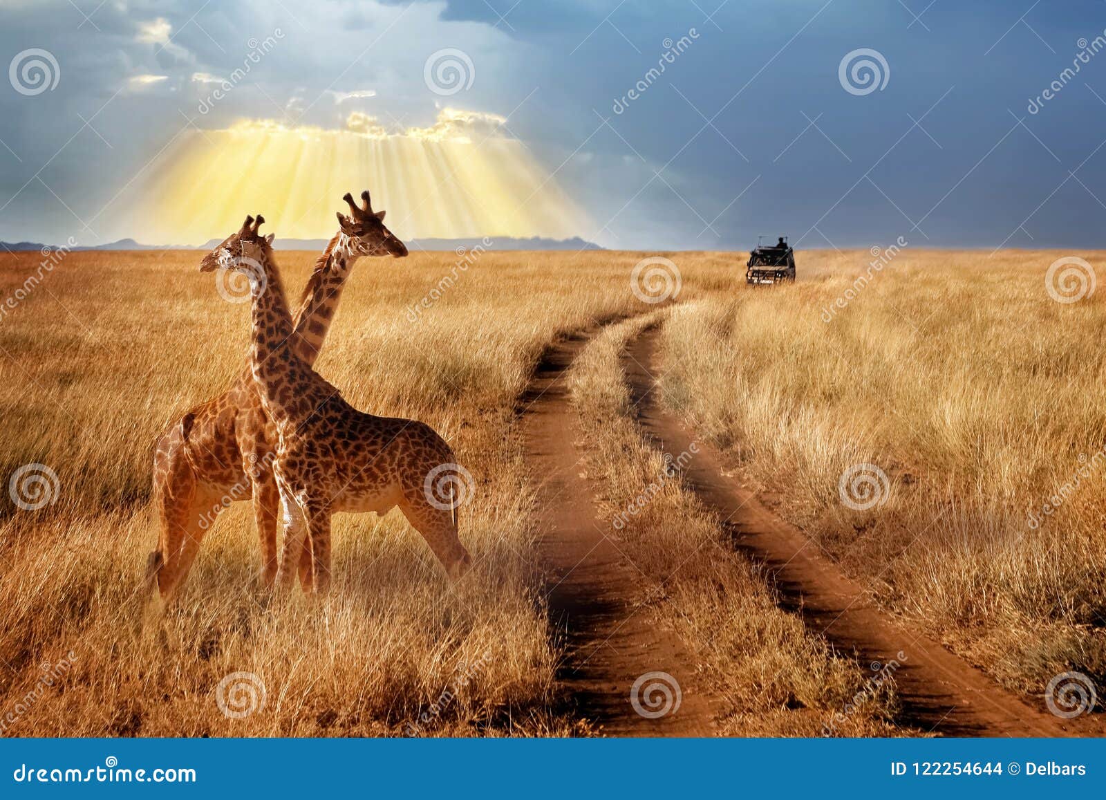 african safari sunset wallpaper