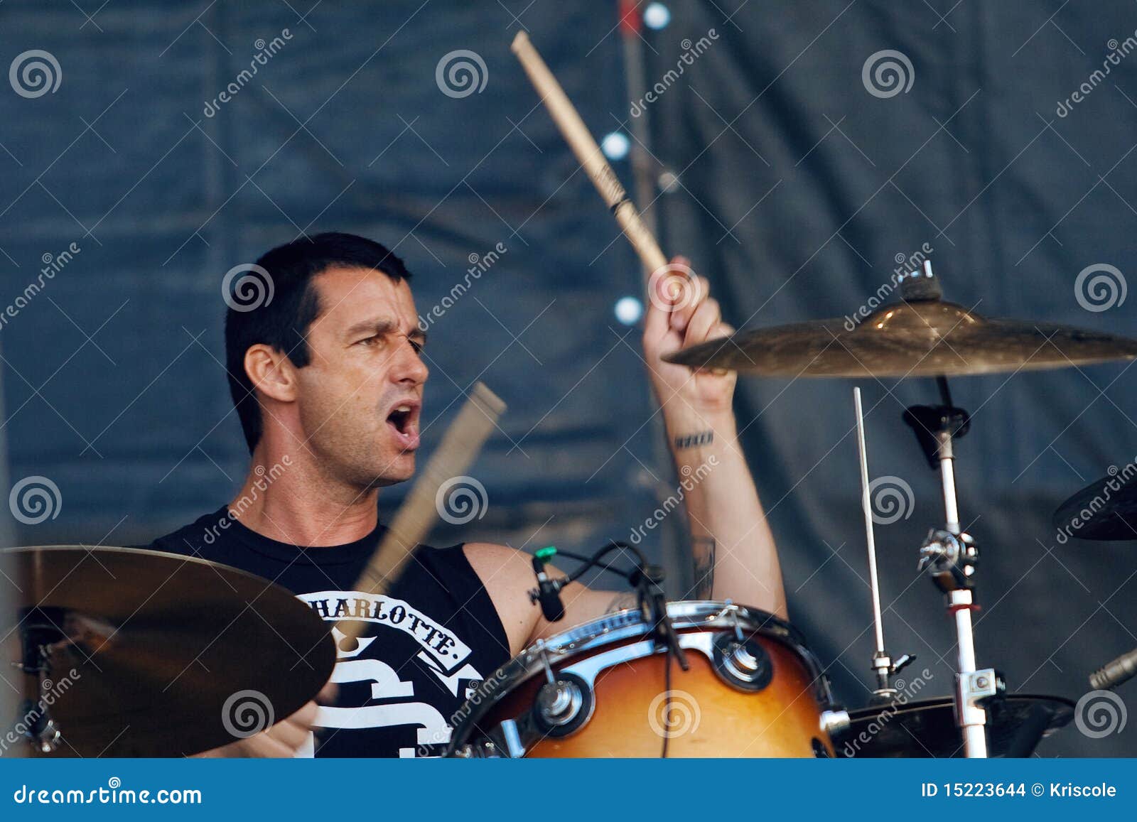 Group Good Charlotte editorial stock image. Image of charlotte - 15223644