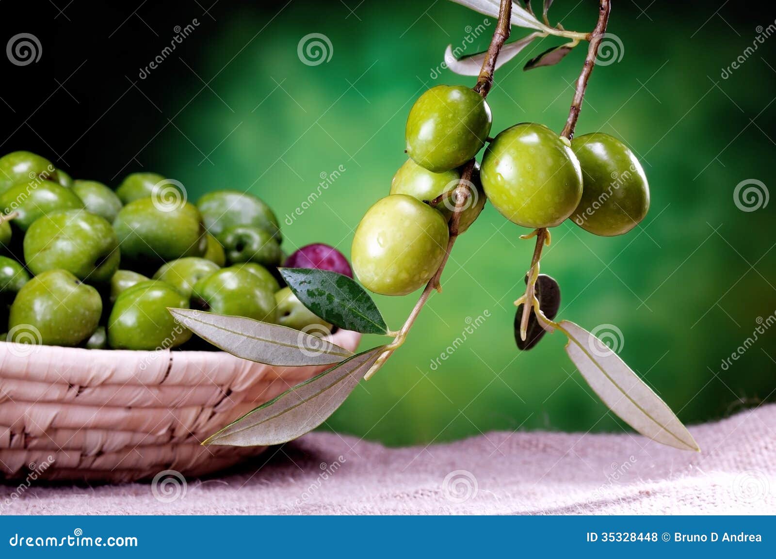 Group of green olives stock photo. Image of harvest, olive 35328448