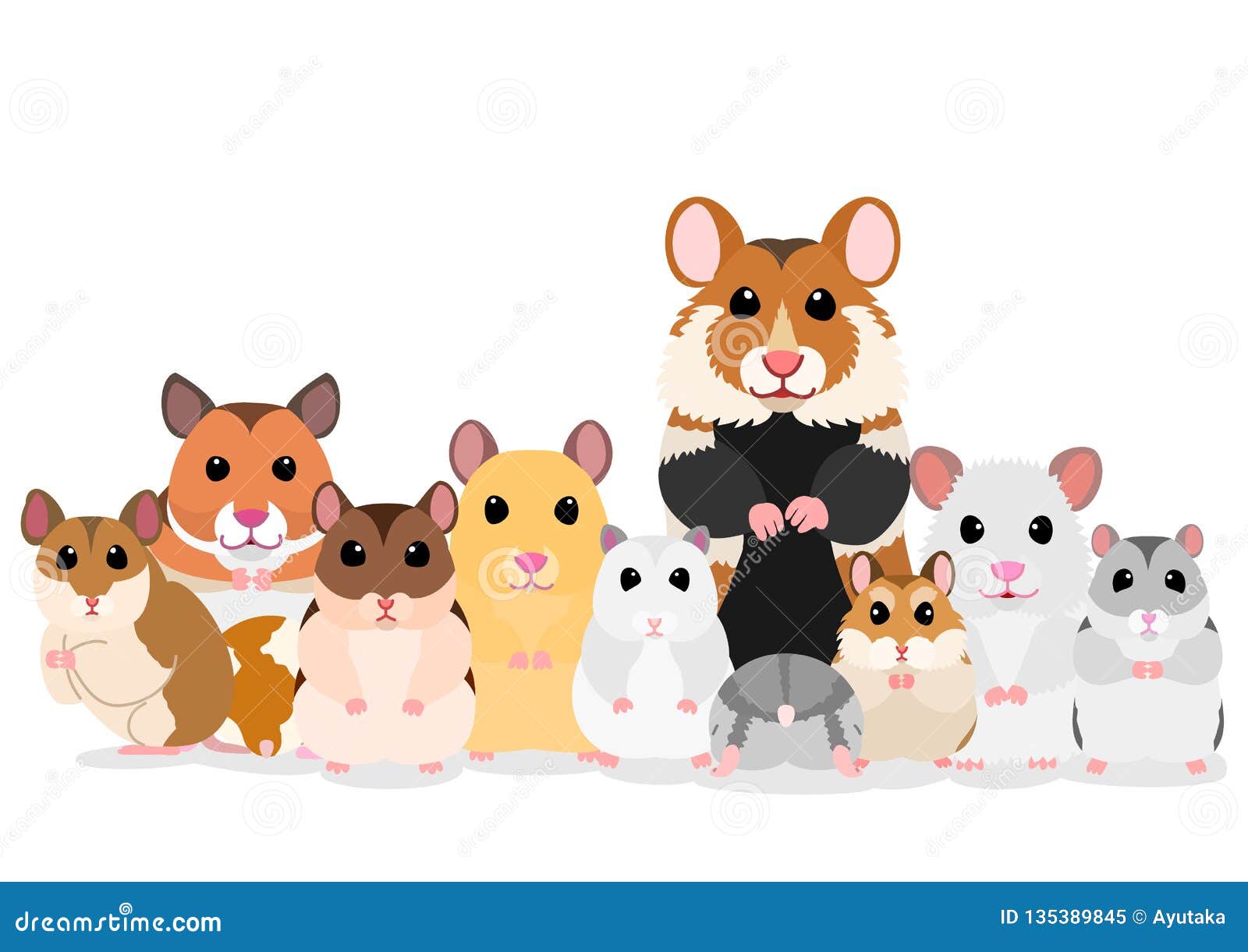 Pet Hamster Breed Information