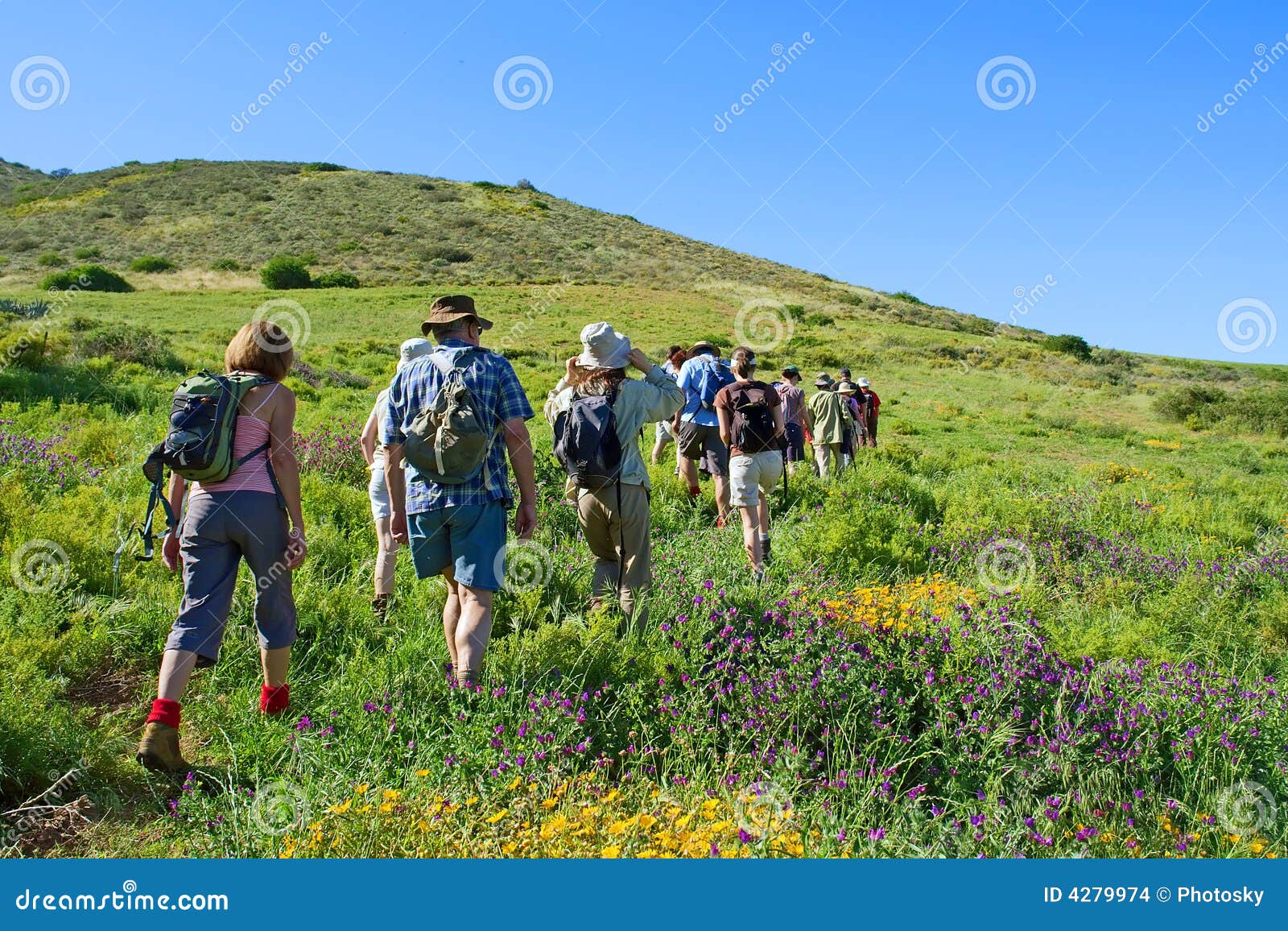 group of hikers walks mountain rural landscape