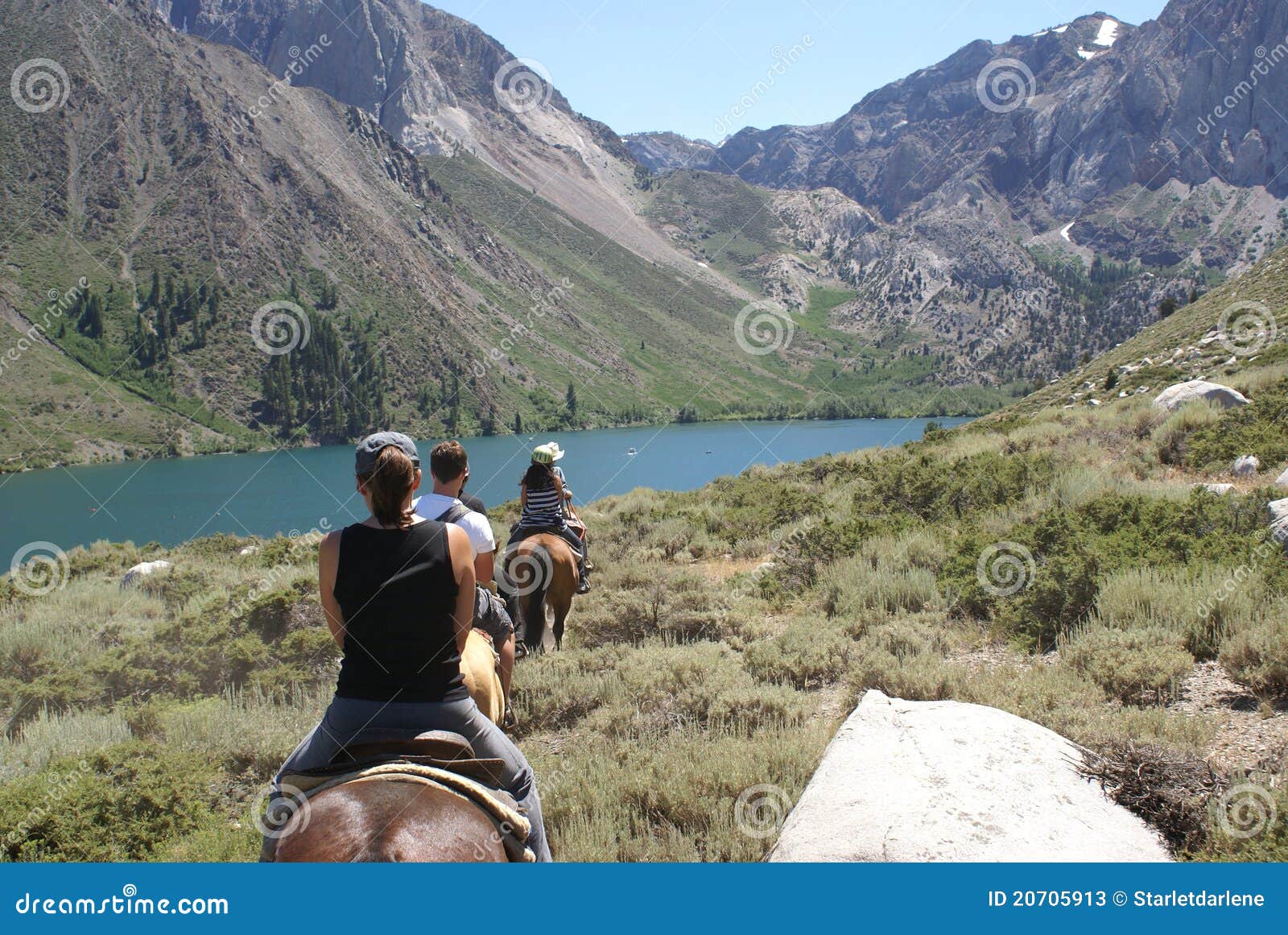 group of horseback riders