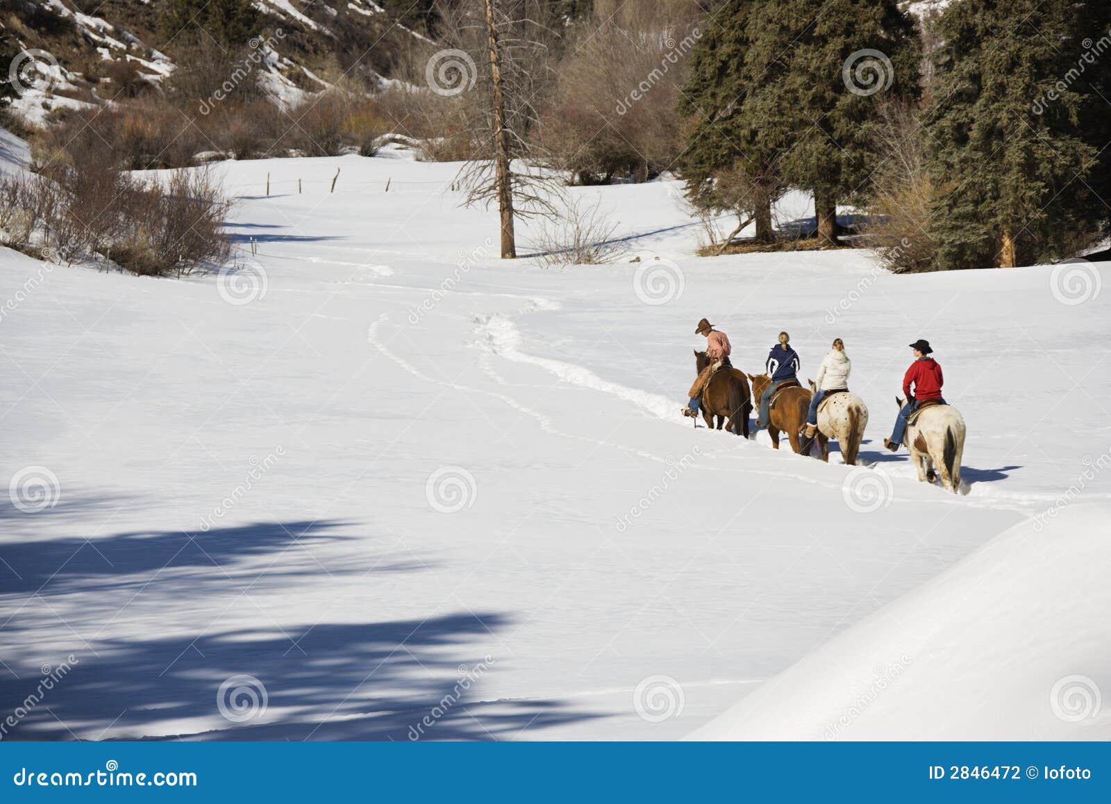 group horseback riding.