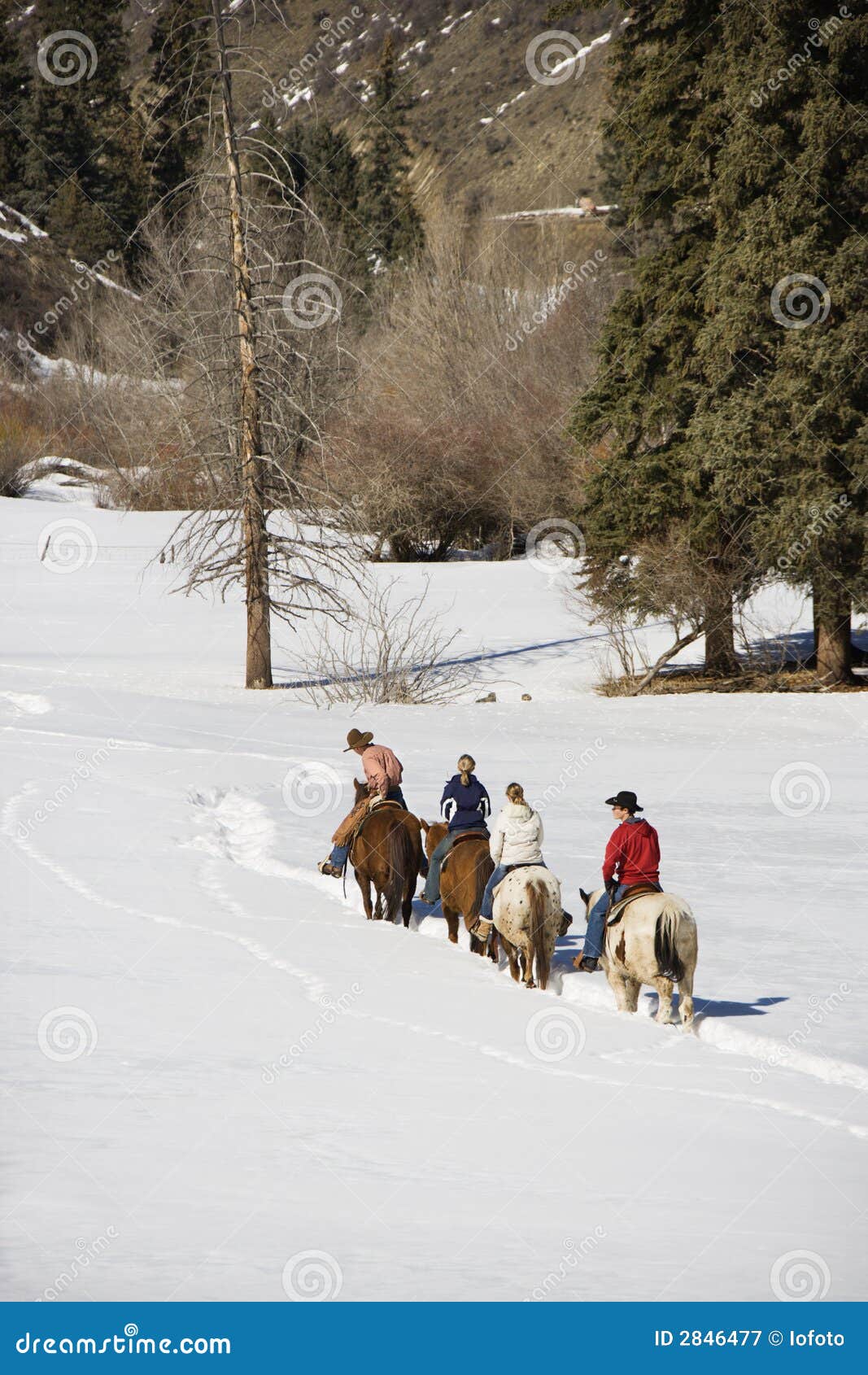 group horseback riding.