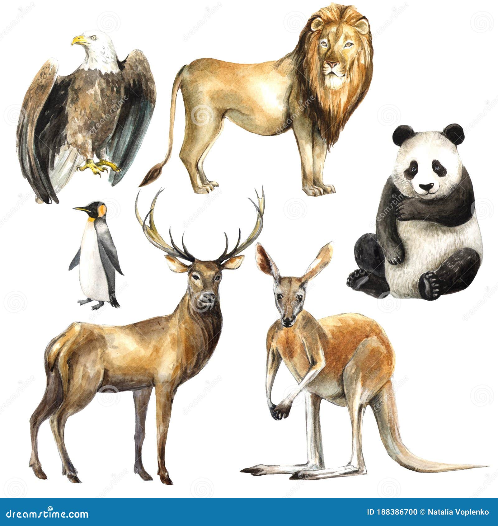 Animals Different Countries Stock Illustrations – 37 Animals Different  Countries Stock Illustrations, Vectors & Clipart - Dreamstime