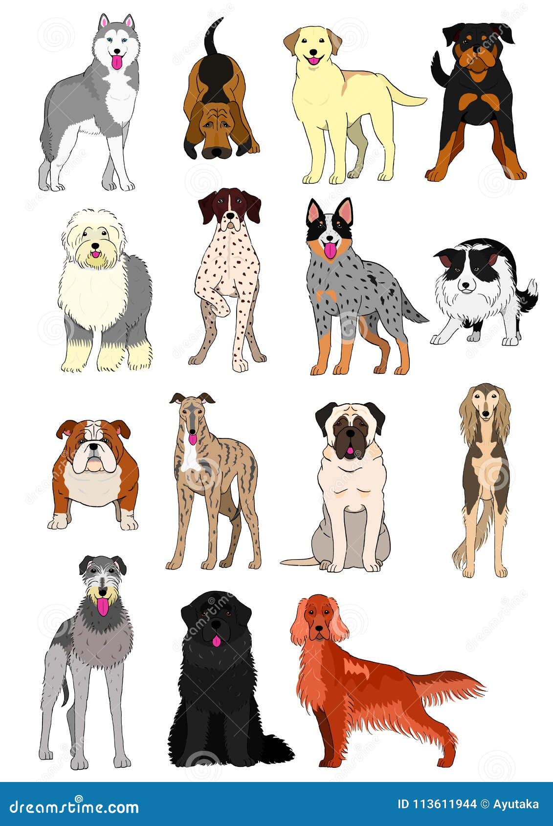 Picture Chart Of All Dog Breeds