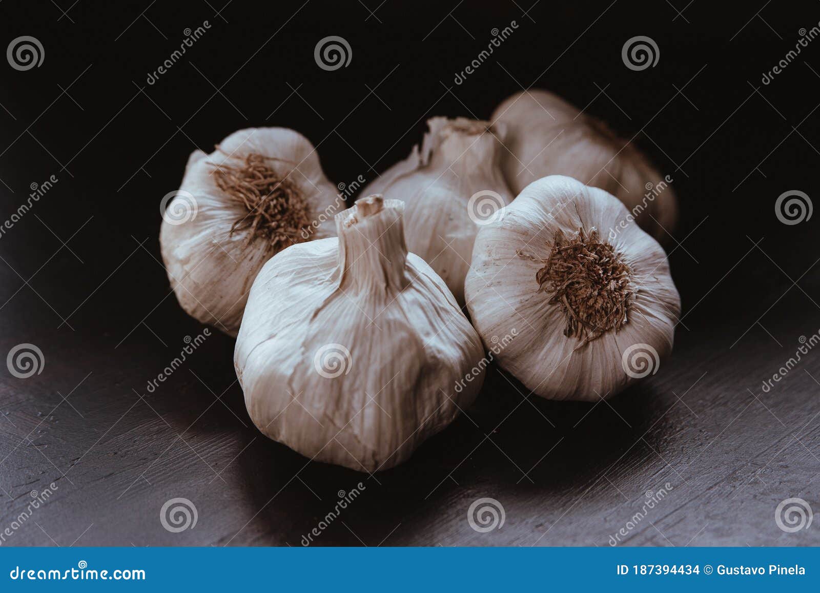 group of large white garlic, hand-picked