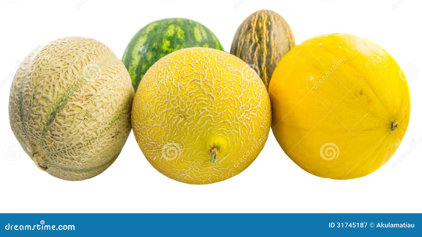 A Group of Melons III stock image. Image of nutrition 31745187
