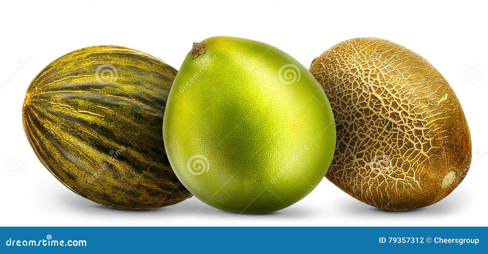 Group Melons Pomelo Isolated White Stock Photos Free & RoyaltyFree Stock Photos from Dreamstime