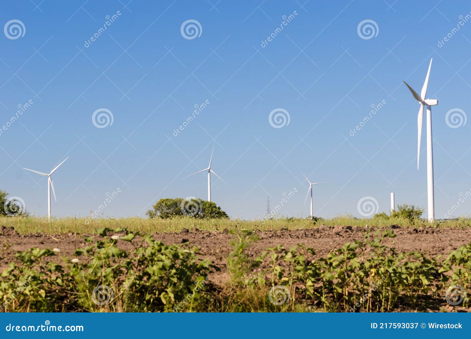 group of modern windmills in the countryside near tarariras, colonia.