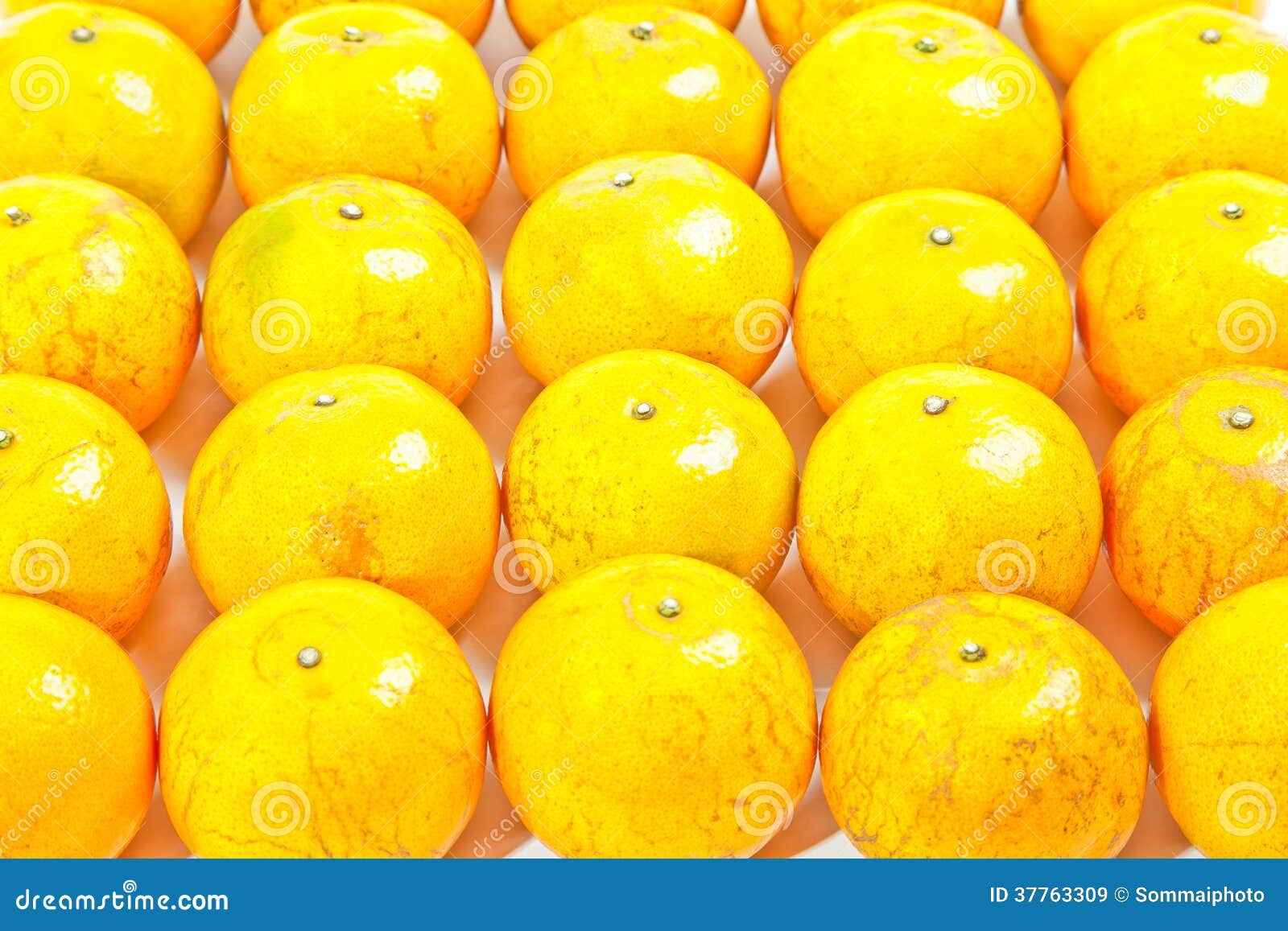 Group of orange stock image. Image of group, healthy 37763309