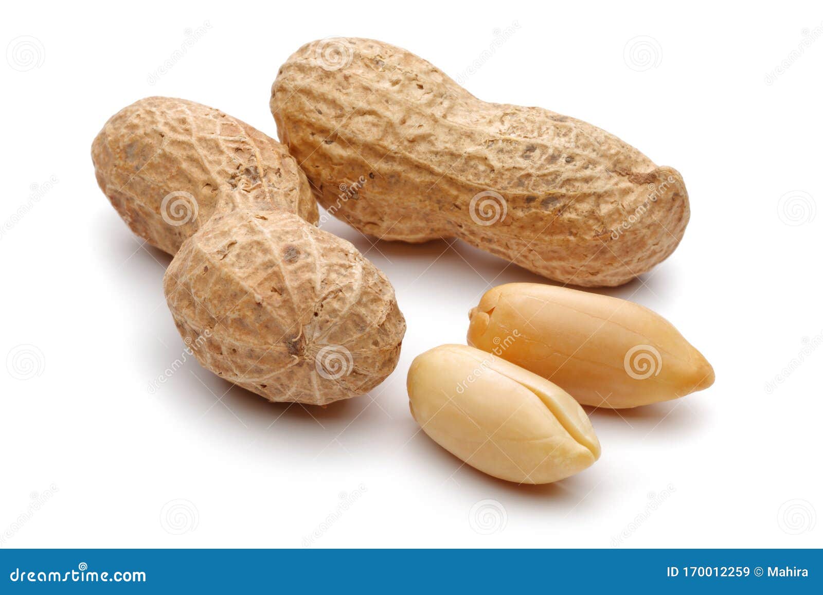 Group of Peanuts Isolated on White Stock Image Image of peel, nuts