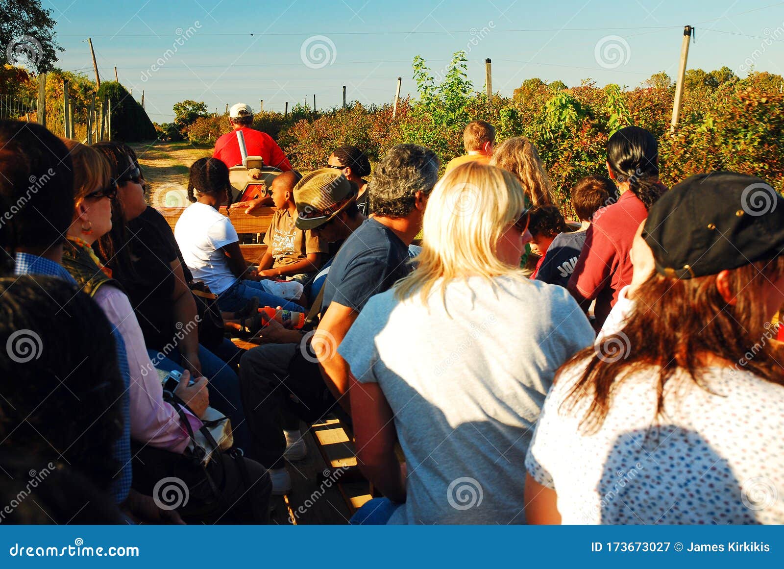 192 Hayride Photos Free Royalty Free Stock Photos From Dreamstime