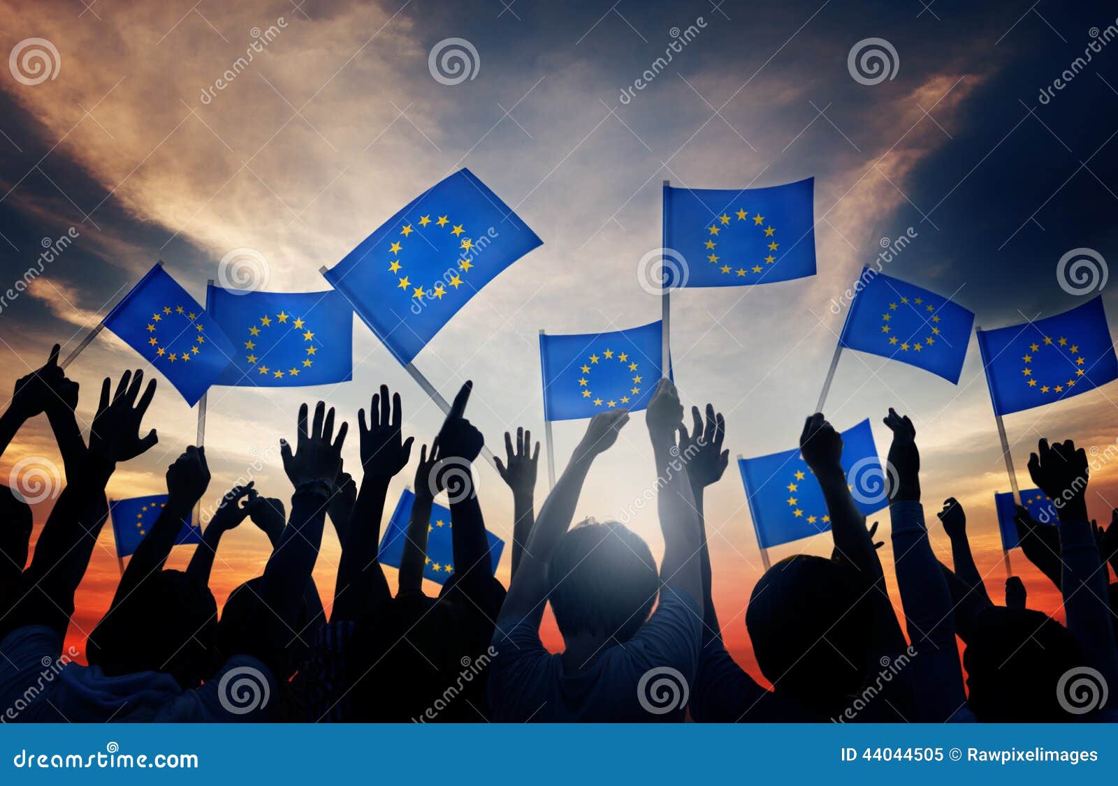 group of people waving european union flags