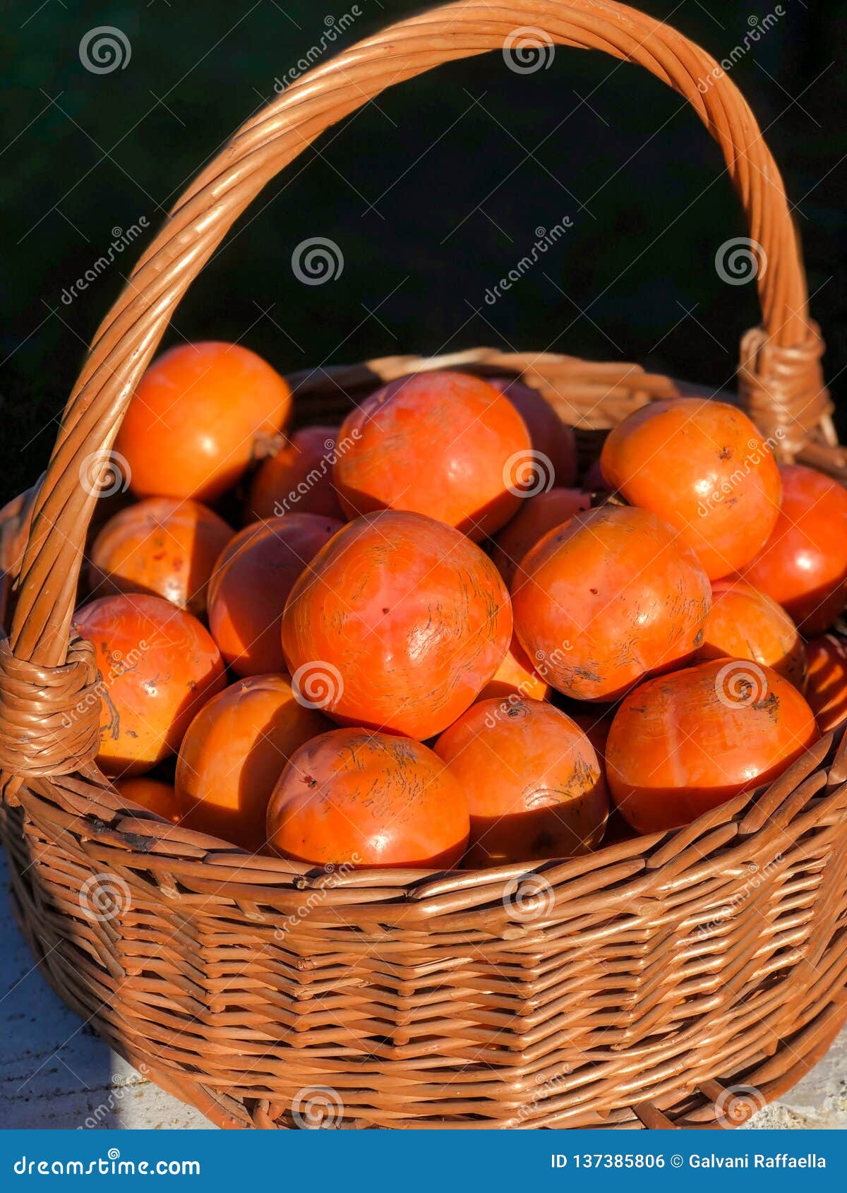 Group of Persimmon in the Sunlight in a Wicker Basket Stock Photo
