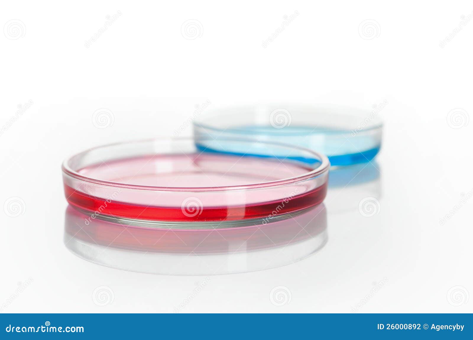 Of Petri Dishes With A Colored Reagents Stock Photo Of Petri Dishes With A Colored Reagents Stock Photo