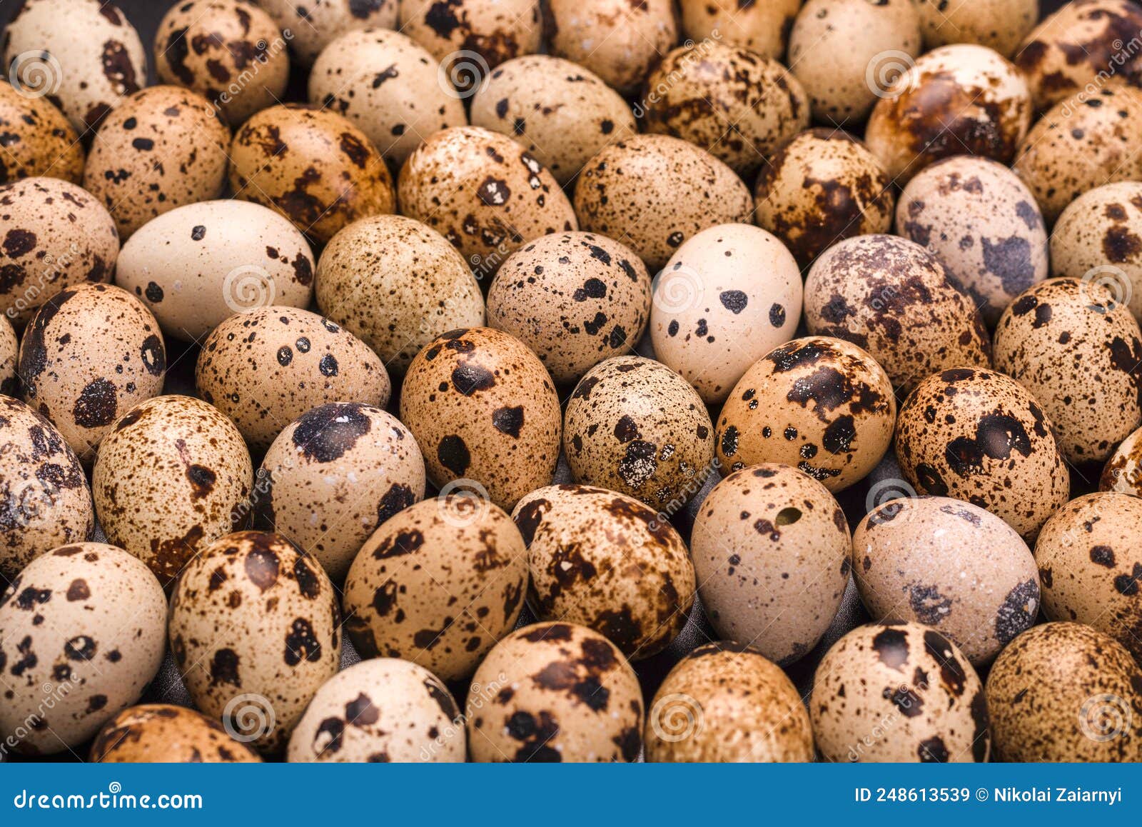 Group of Quail Eggs As a Background. Raw Eggs Stock Image Image of