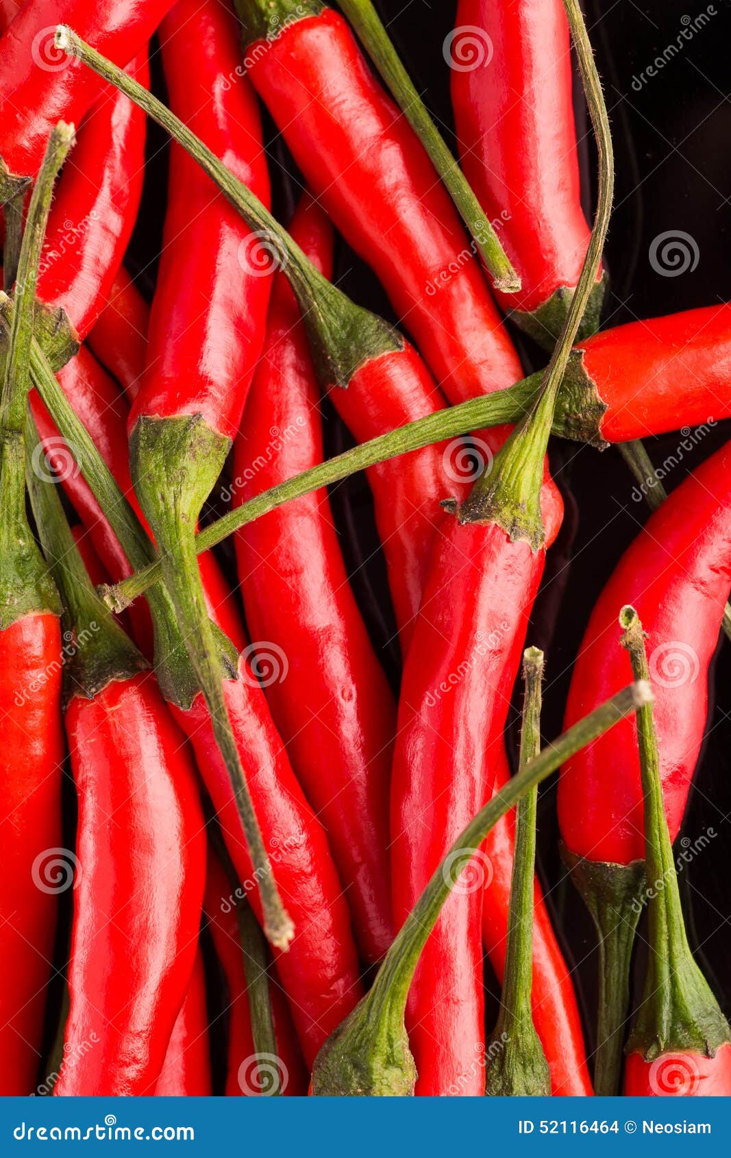 Group of red chili peppers stock photo. Image of explosive 52116464