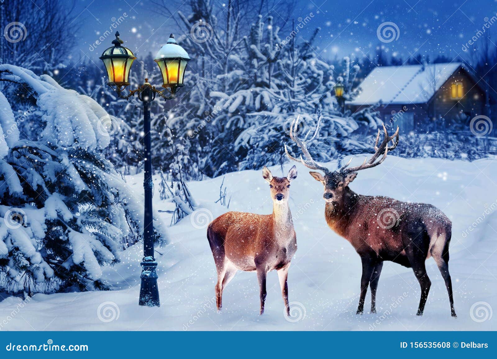 Group of Red Deer in a Snowy Forest on Christmas Night Against the