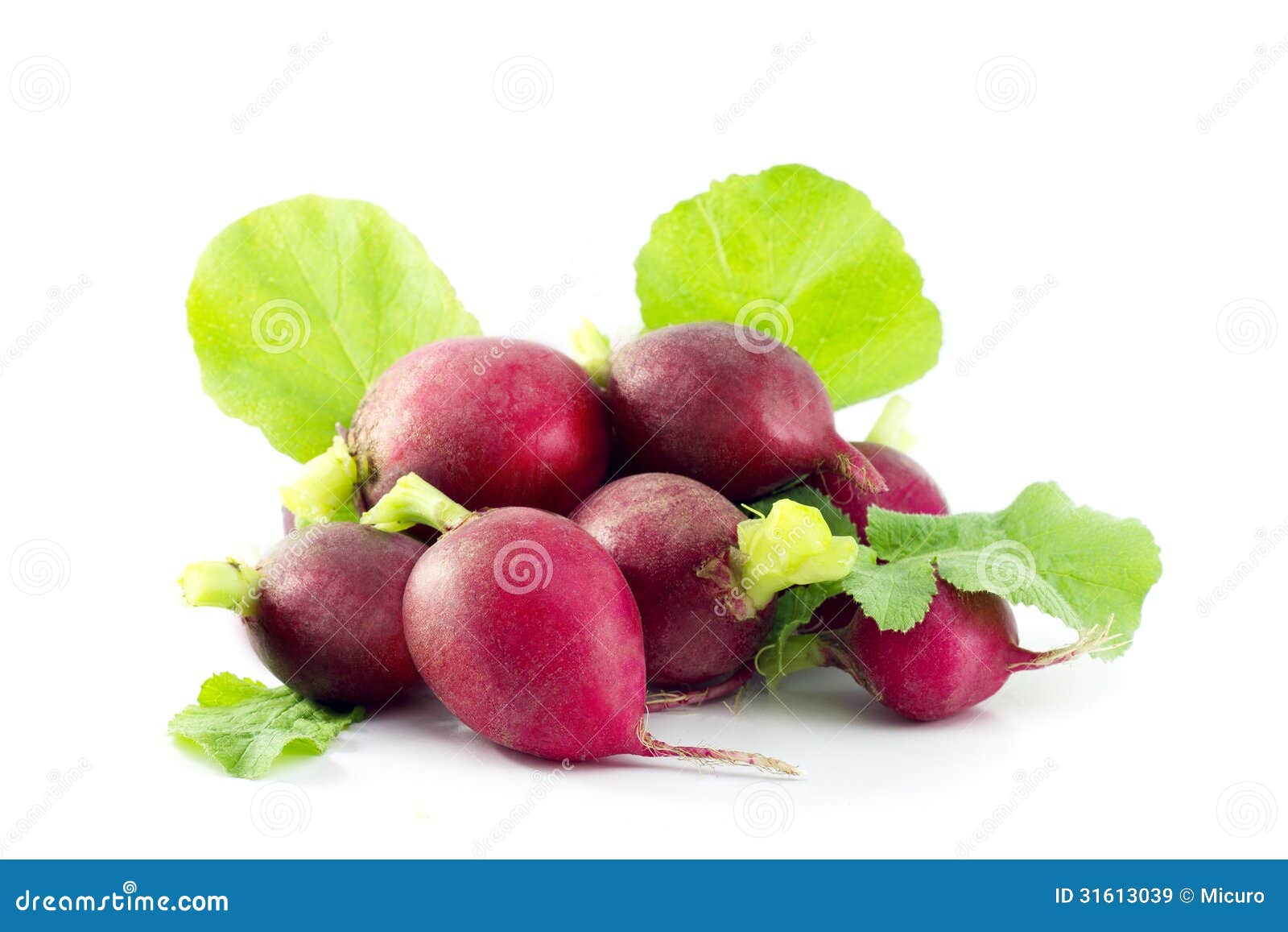 Group of red radishes stock image. Image of fresh, vegetable 31613039