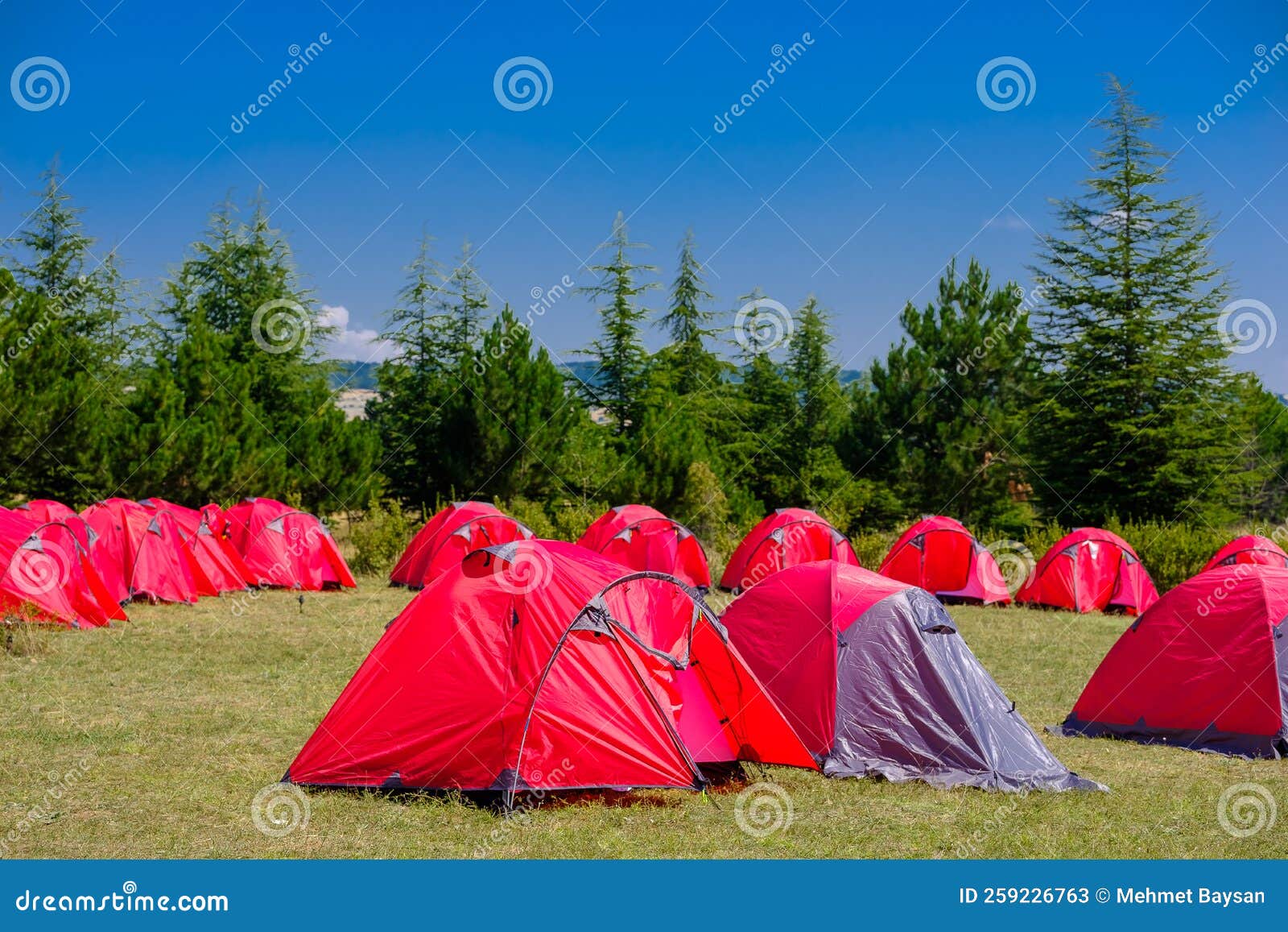 Group of Red Tents for Campers at Forest Stock Image Image of hiking