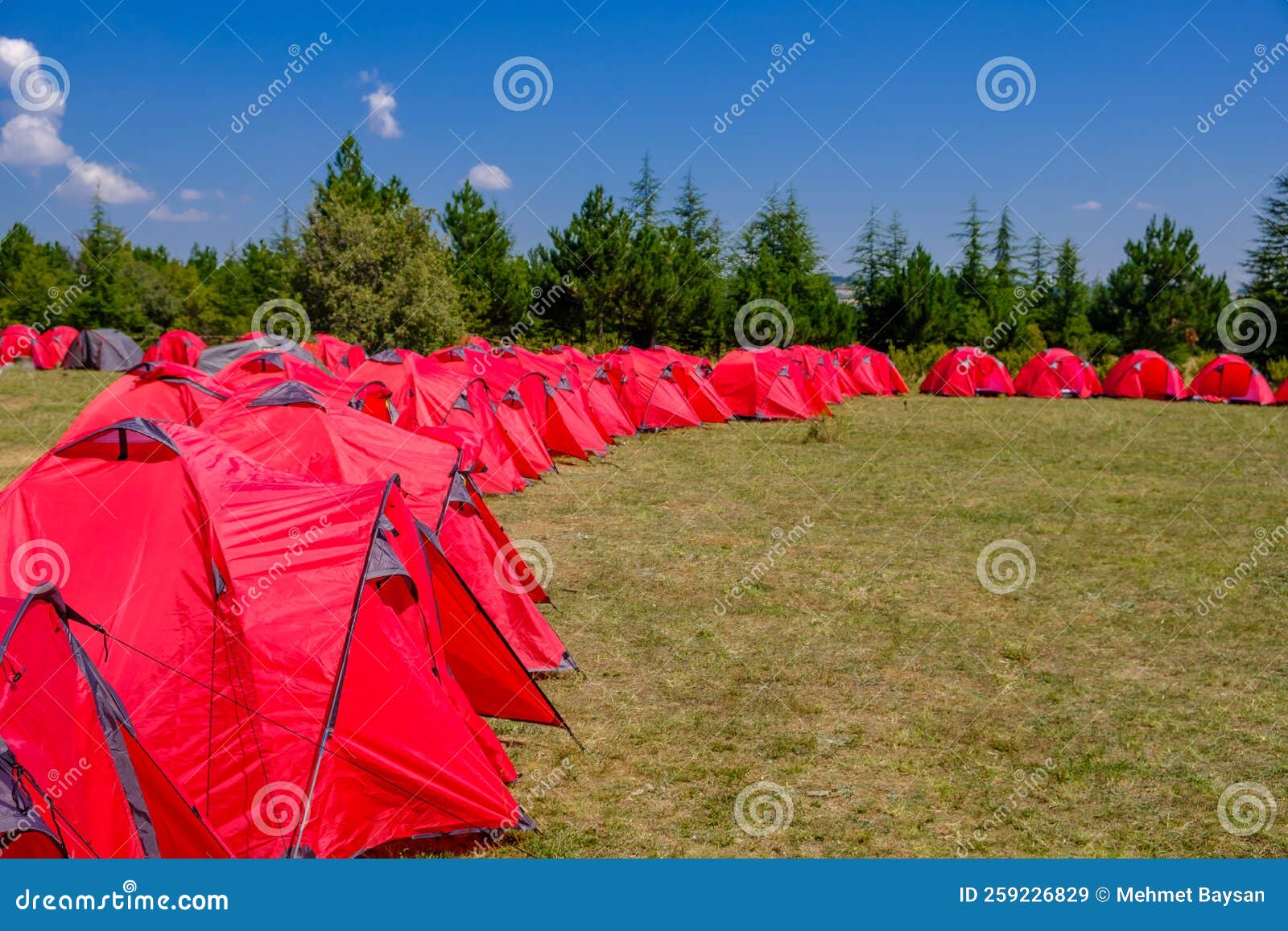Group of Red Tents for Campers at Forest Stock Image Image of state