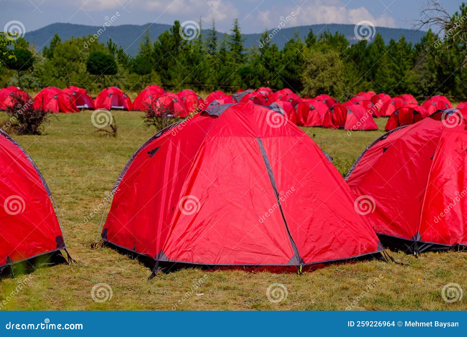 Group of Red Tents for Campers at Forest Stock Photo Image of forest