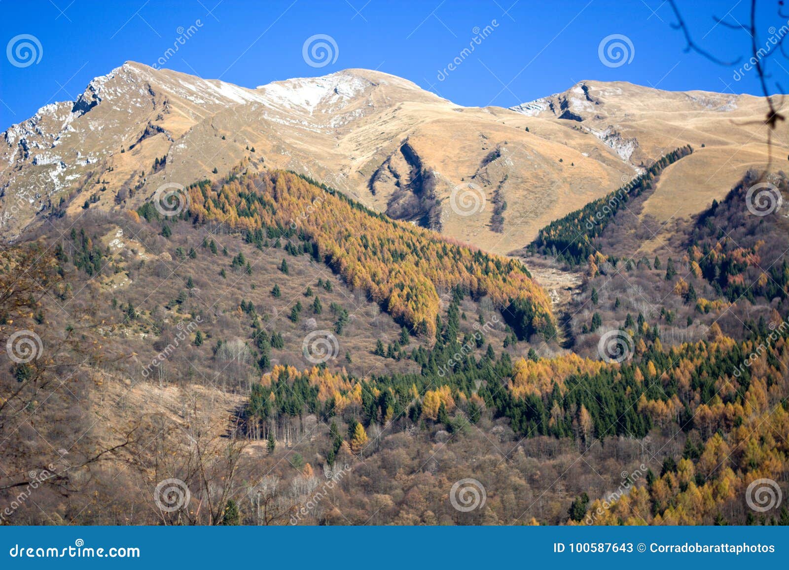 autumn on mount serva, belluno, dolomites