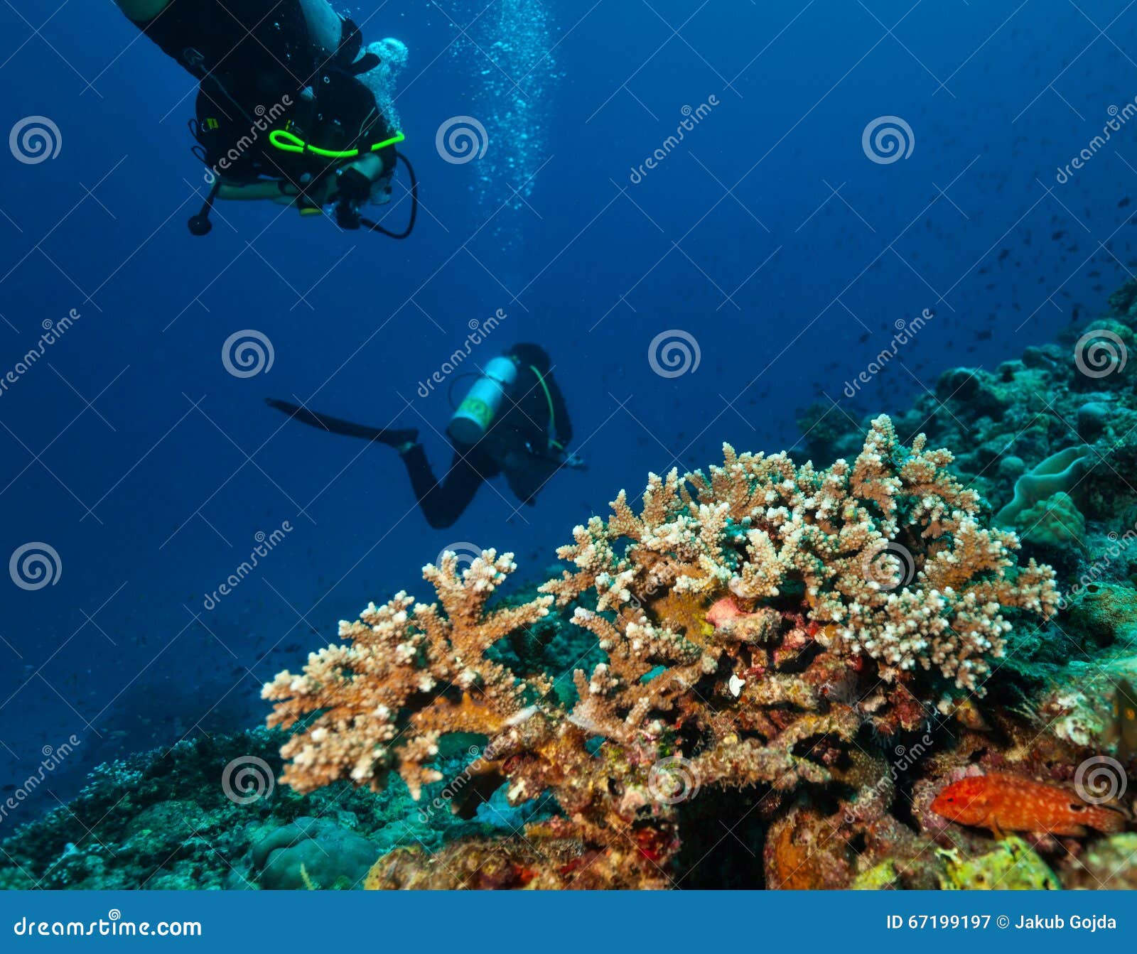 Group of Scuba Divers Underwater Stock Image - Image of face, cave ...