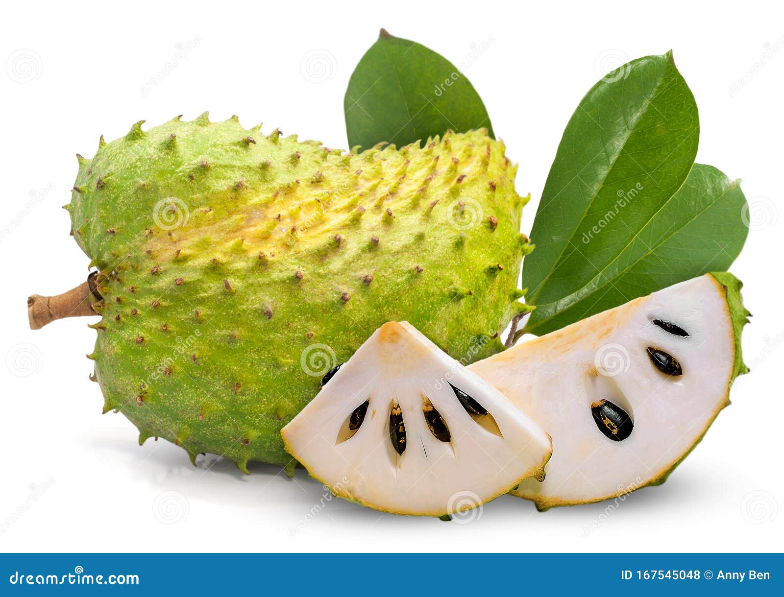Is Custard Apple Good For Dogs