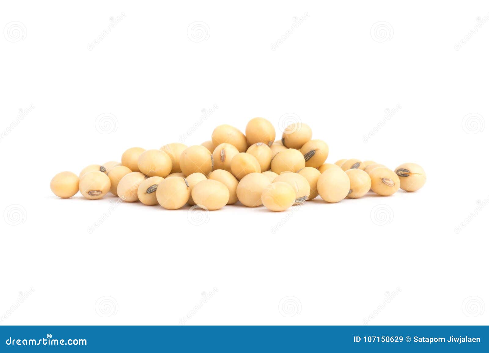 Group Soybean on Cup Isolated Top View Stock Image Image of fresh, protein 107150629