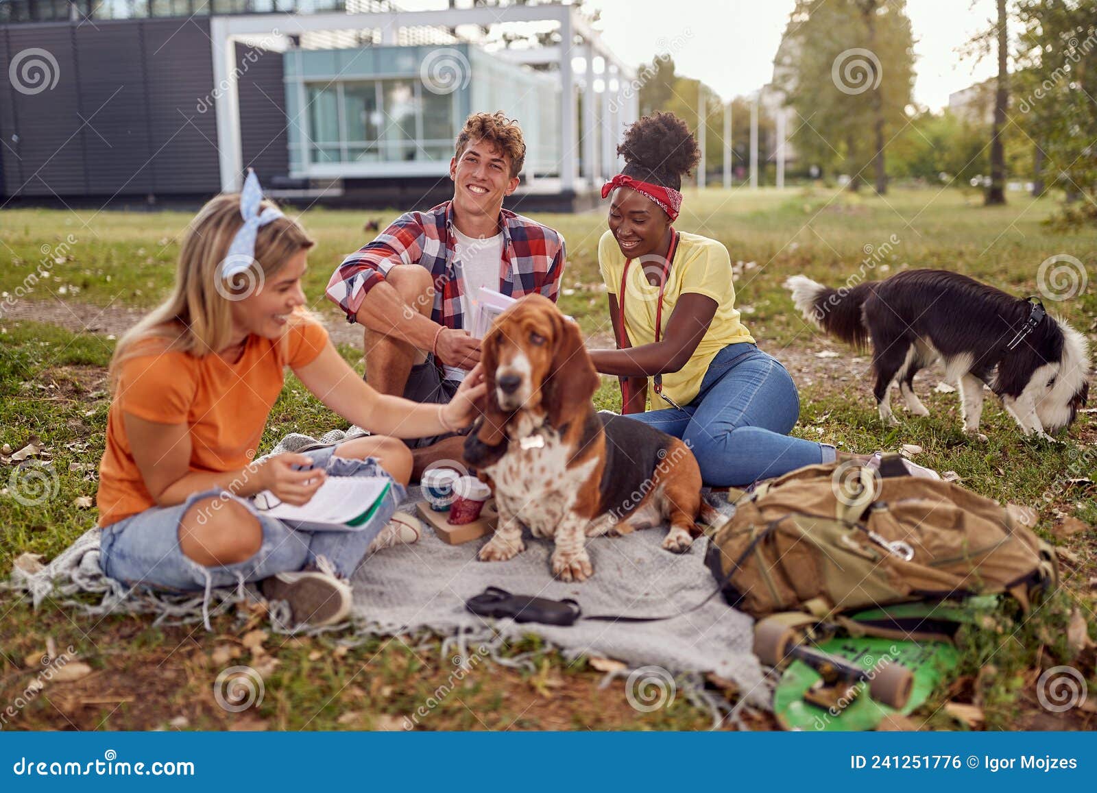 Group of Students Having Picnic with Dogs Stock Photo Image of