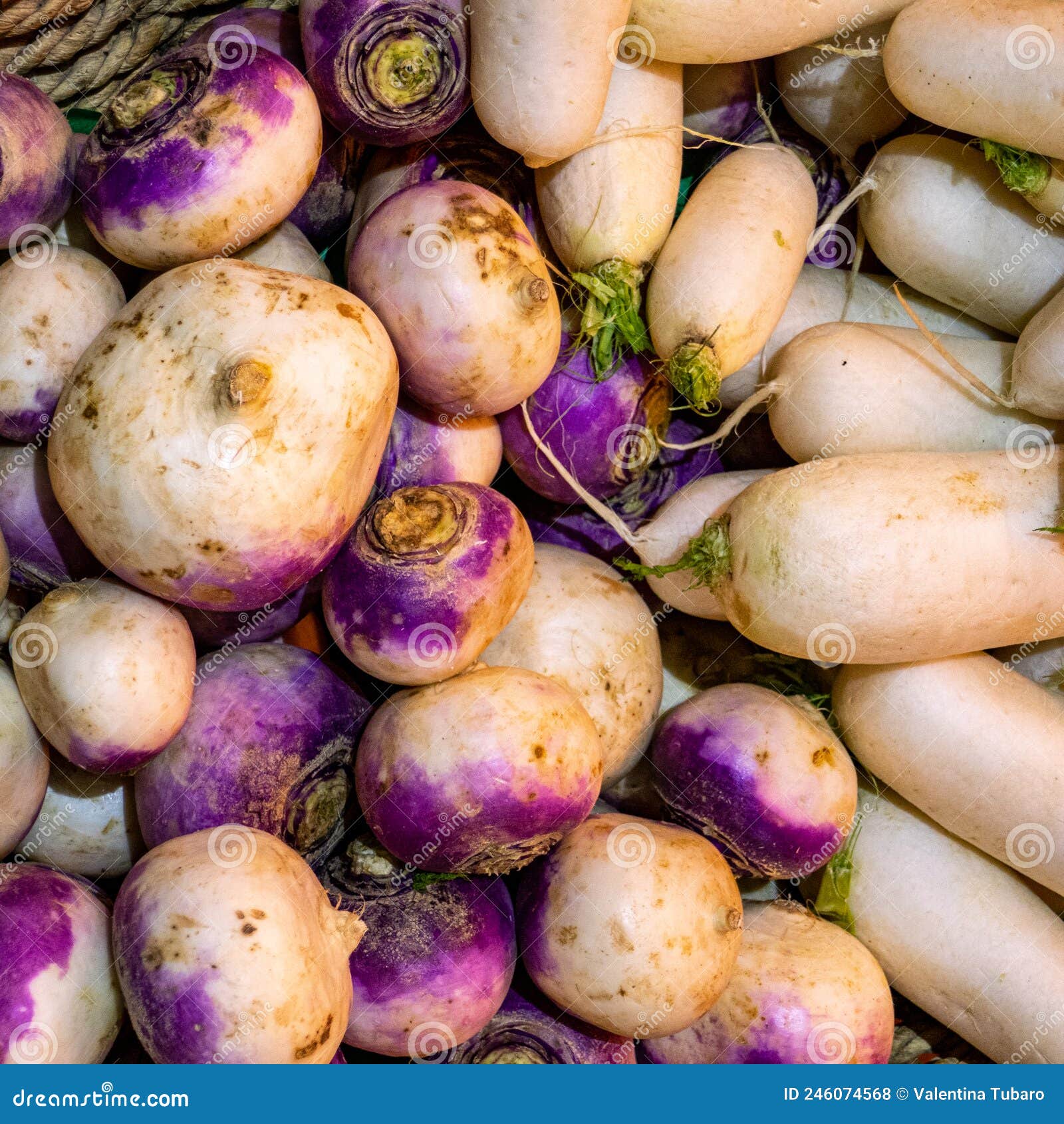 Group of Turnips on Market Stall Stock Photo Image of eating