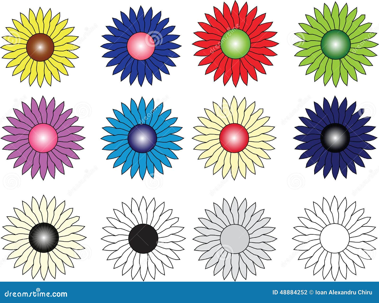 Group of Twelve Flowers of Different Colors Stock Vector Illustration