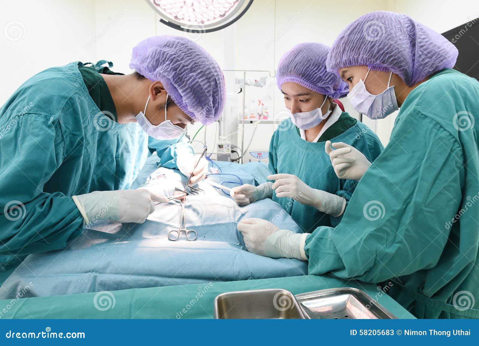 Group of Veterinarian Surgery in Operation Room Stock Image Image of