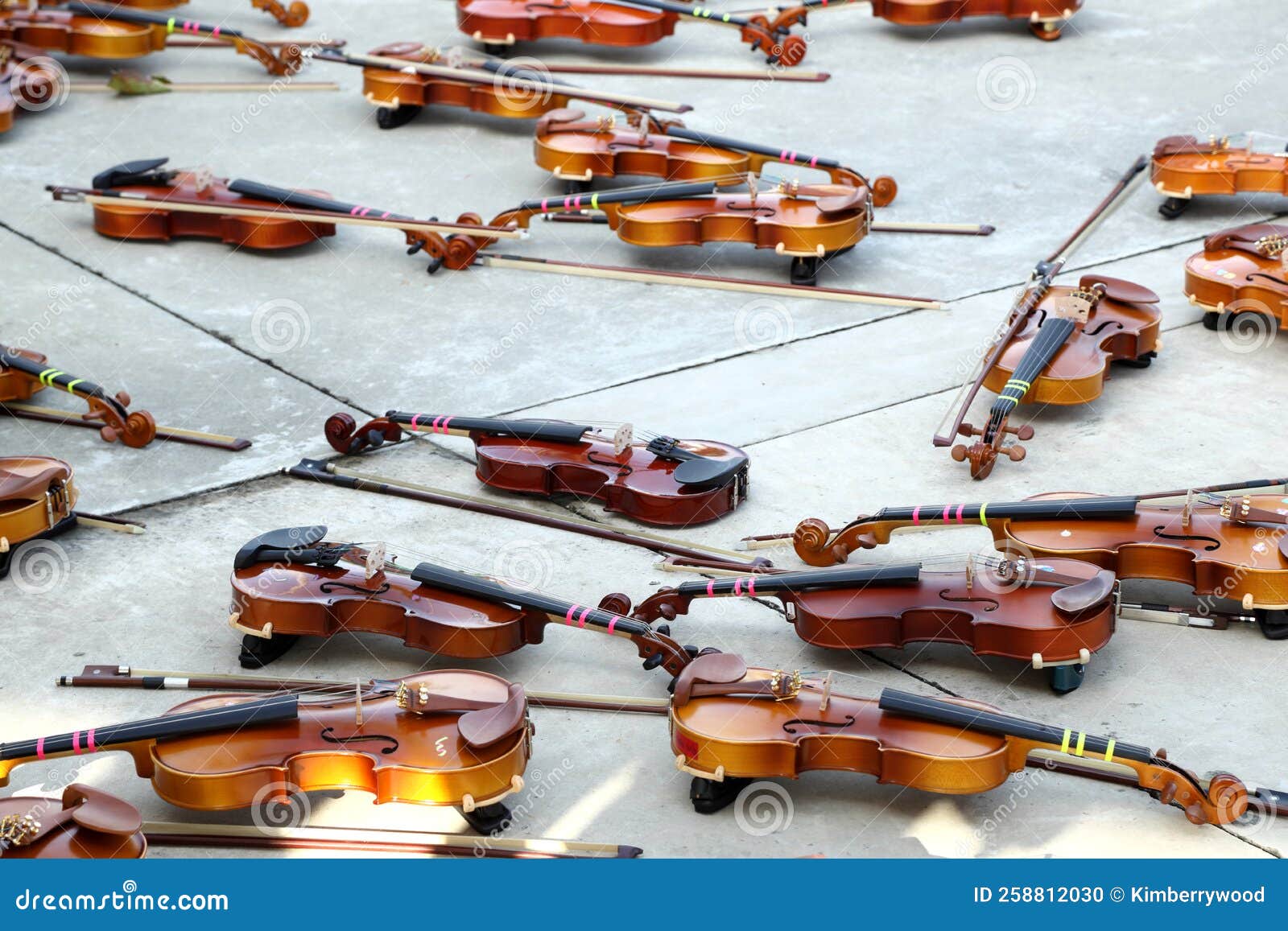 Group of Violin stock photo. Image of retro, instrument 258812030