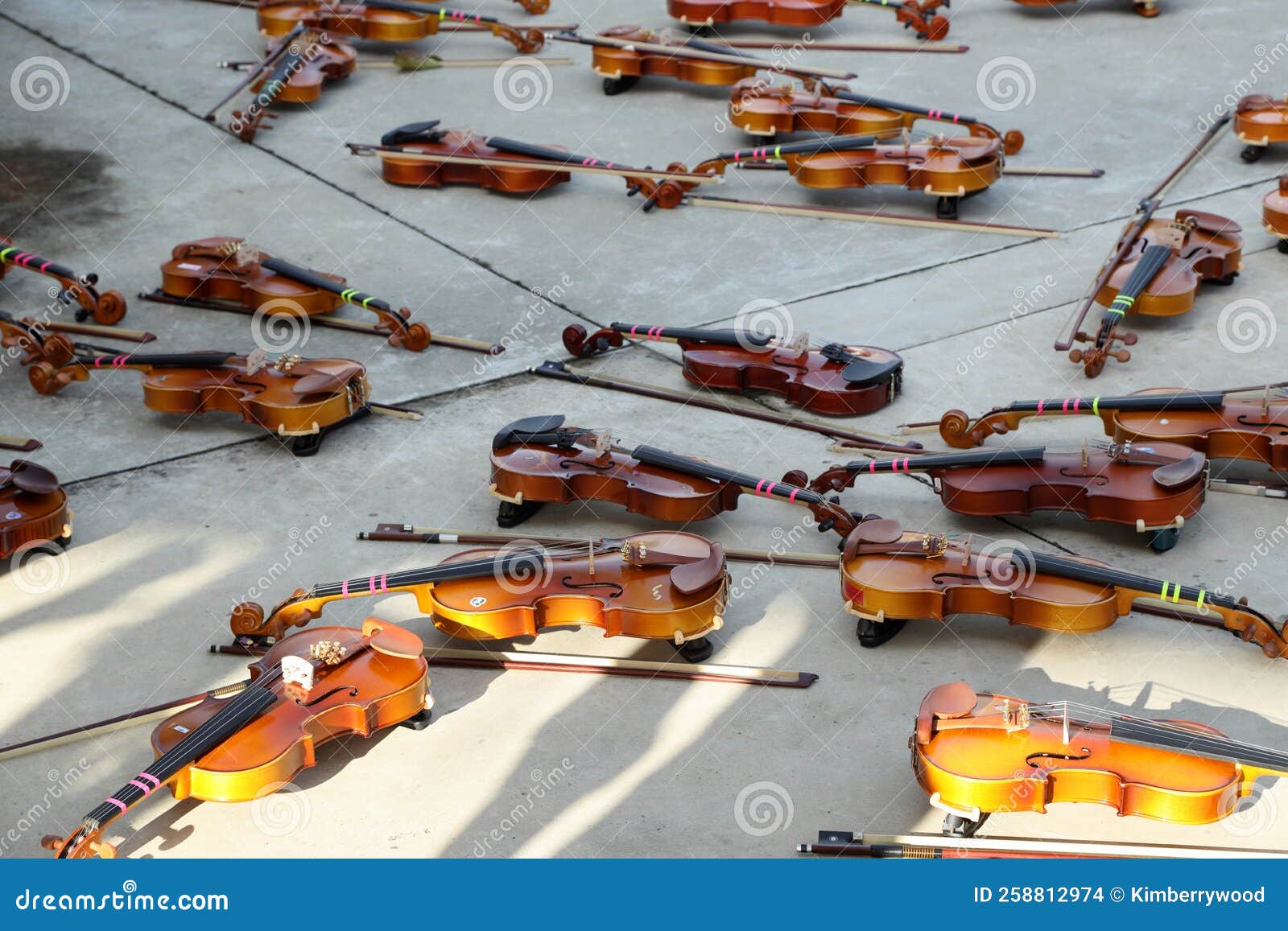 Group of Violin stock photo. Image of class, band, decor 258812974
