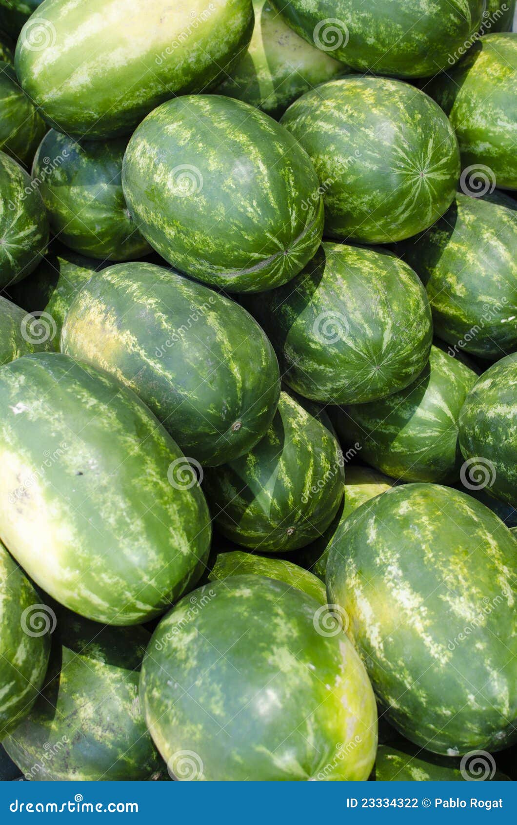Group of Watermelons stock photo. Image of full, color 23334322