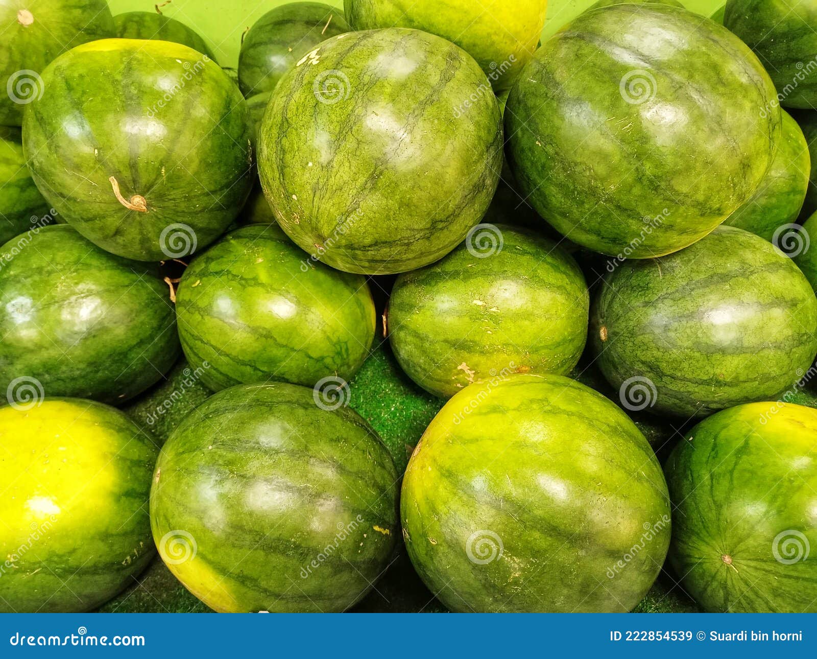 Group of watermelons stock image. Image of sale, green 222854539