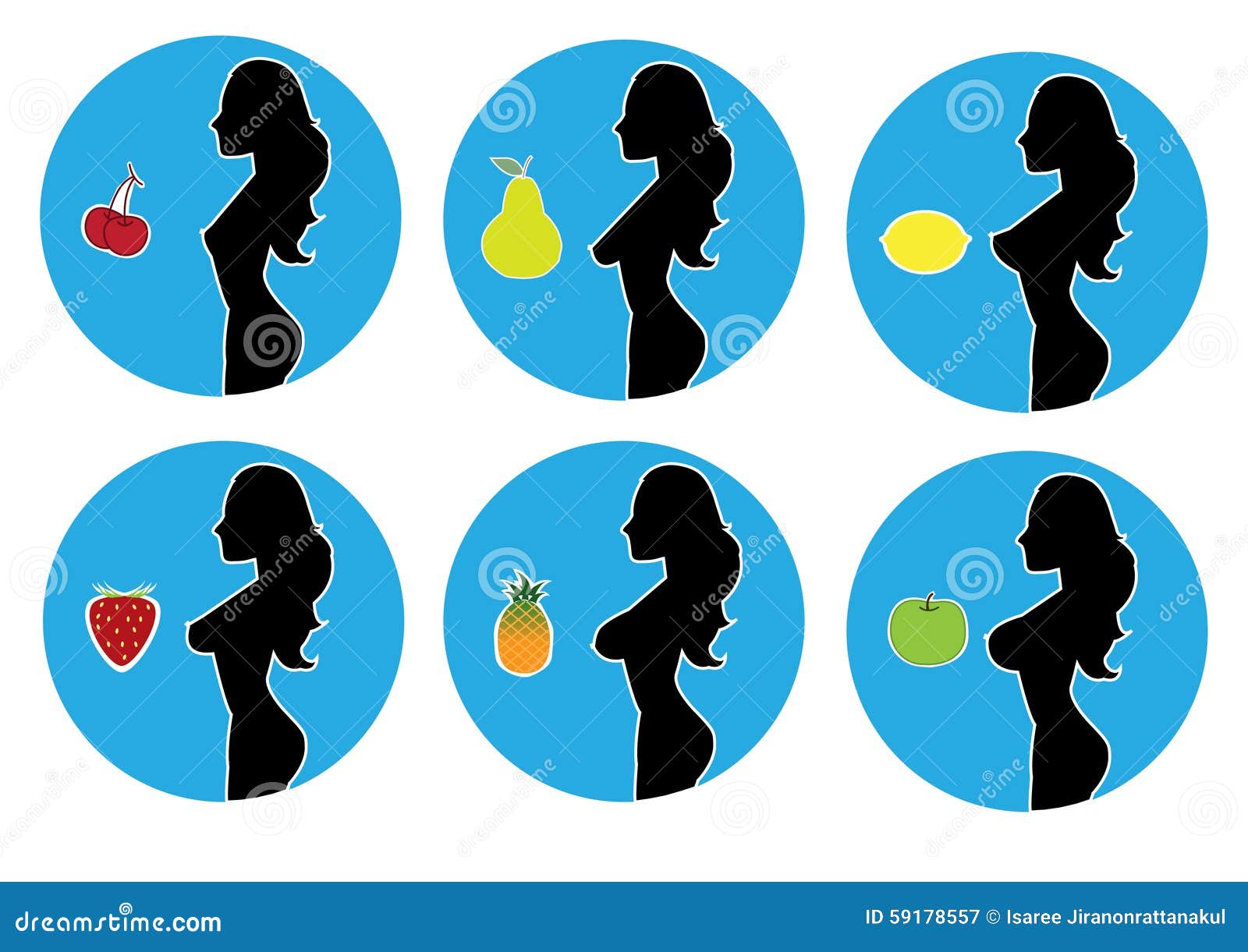 Group of Woman Breast Size, Stock Illustration - Illustration of