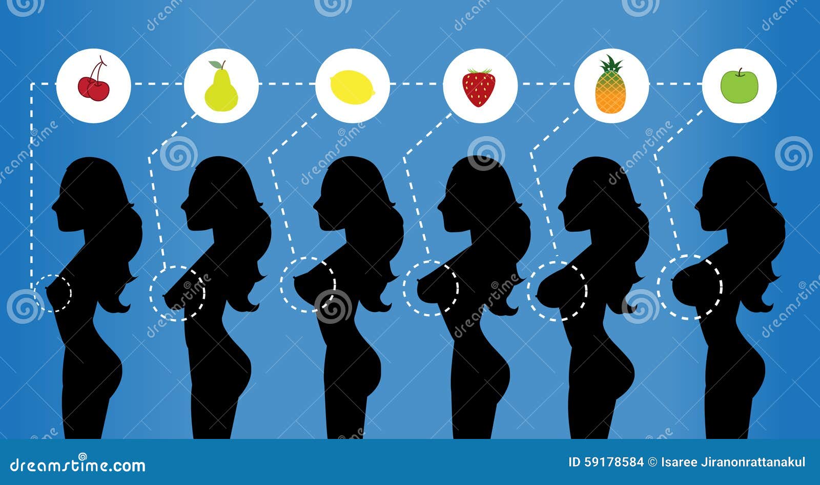 Group of Woman Breast Size, Stock Illustration - Illustration of