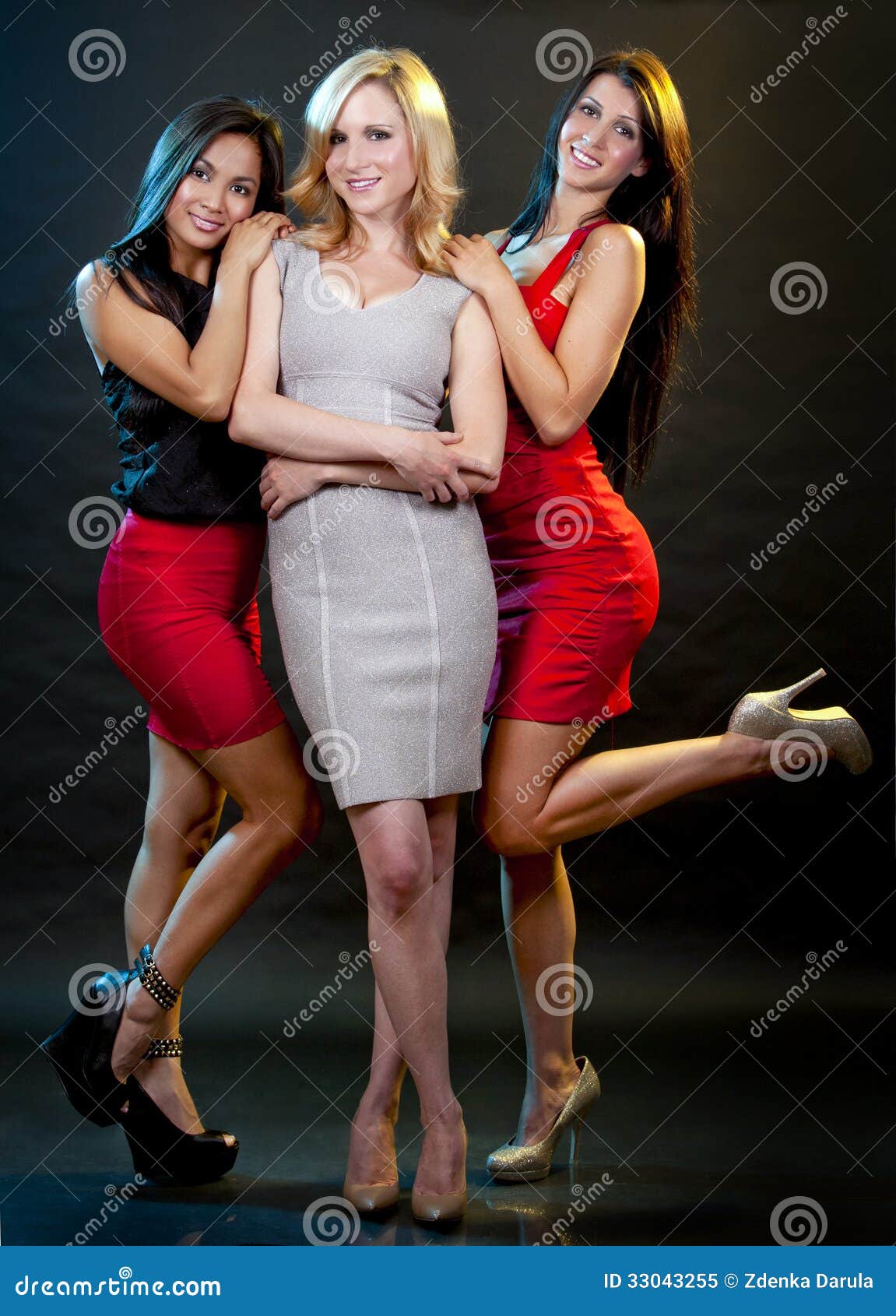 Group of women partying stock image. Image of friendship - 33043255