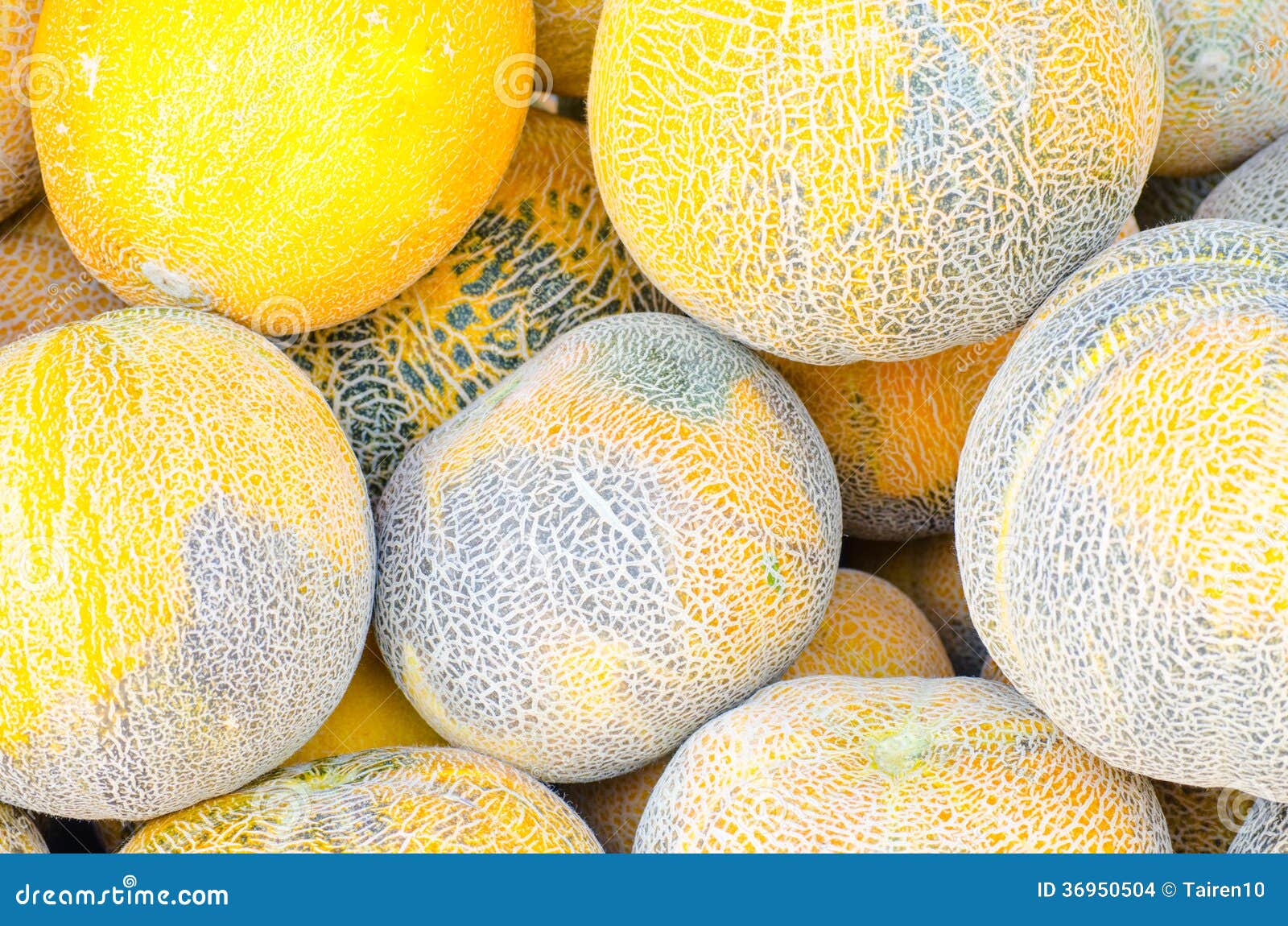 Group of Yellow Water Melons Stock Photo Image of honeydew, nutrition 36950504