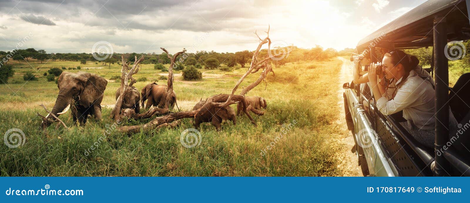 group of young people watch and photograph wild elephants on safari tour in national park. island sri lanka.