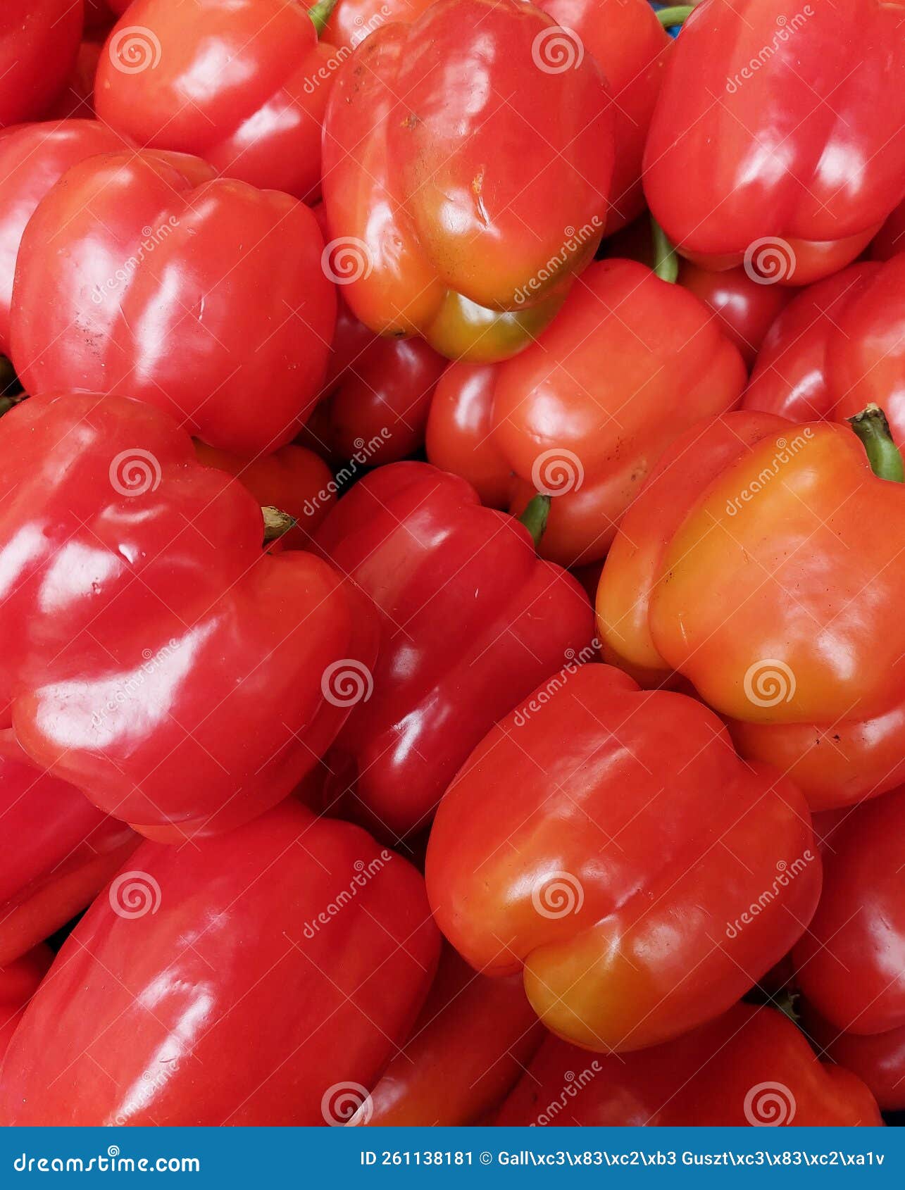Poivron rouge (légumes)