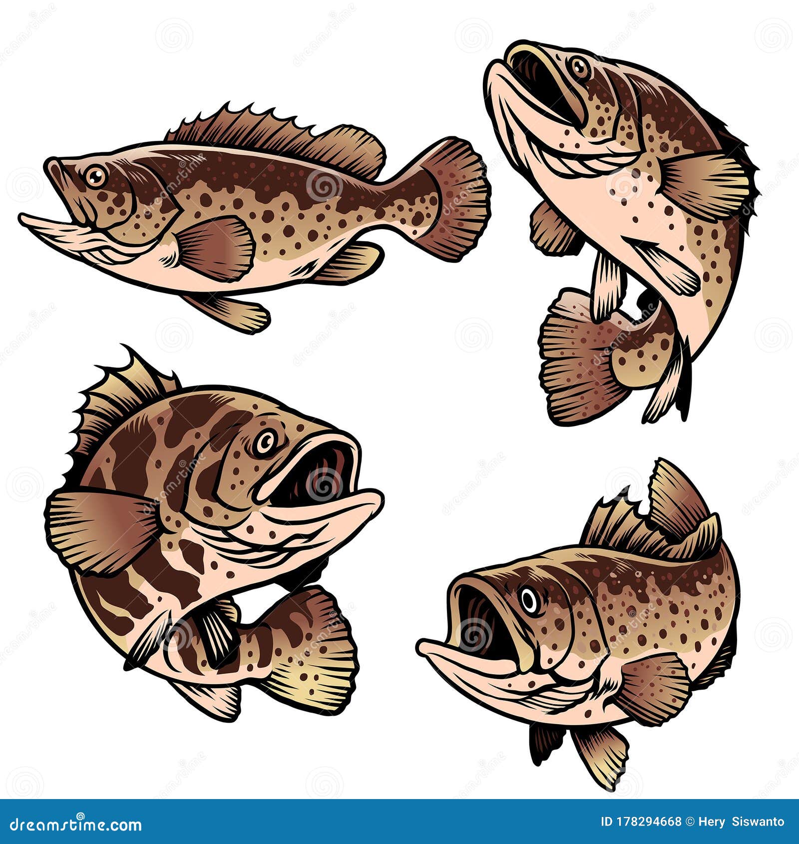 pic of grouper fish pic of grouper fish