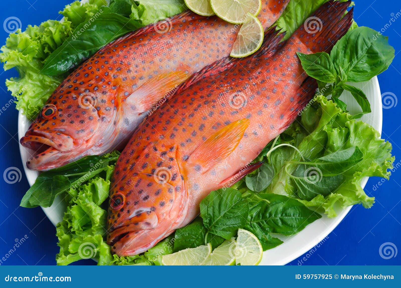 Grouper fish on grill stock image. Image of lemon, delicacy 59757925