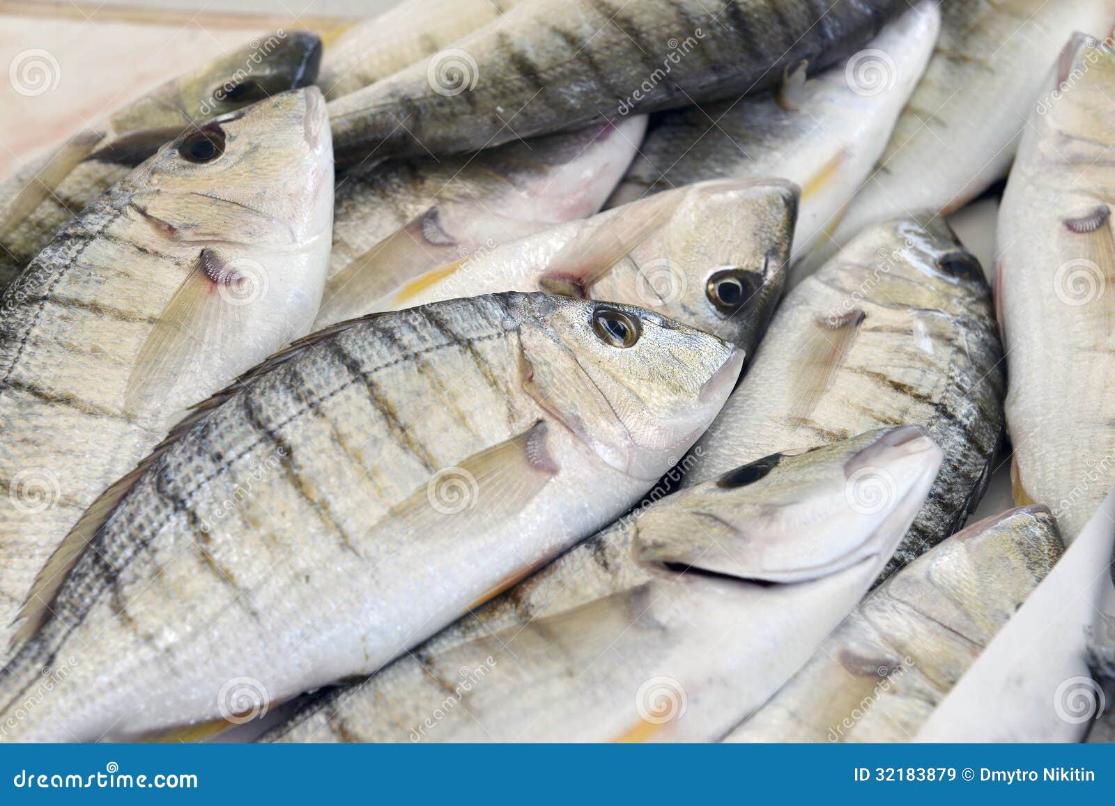 Grouper fish stock image. Image of school, grouper, market 32183879