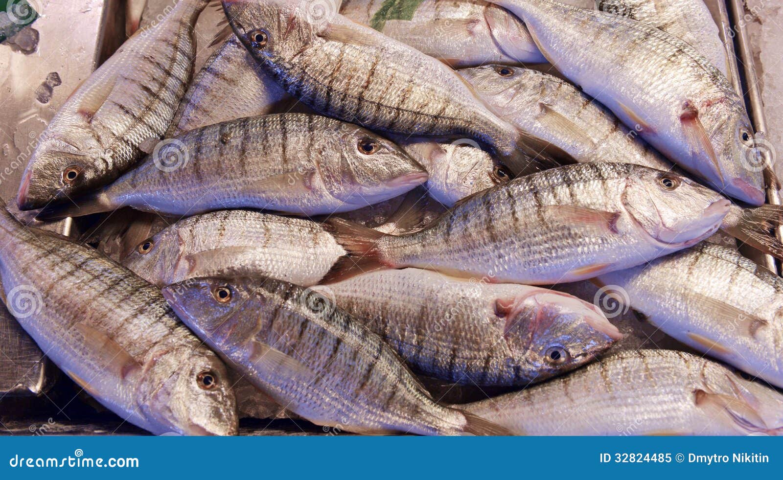 Grouper fish in shop stock image. Image of ocean, fish 32824485