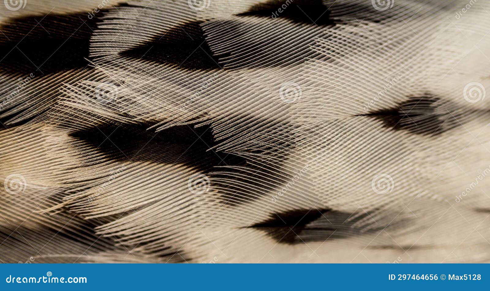 grouse feathers